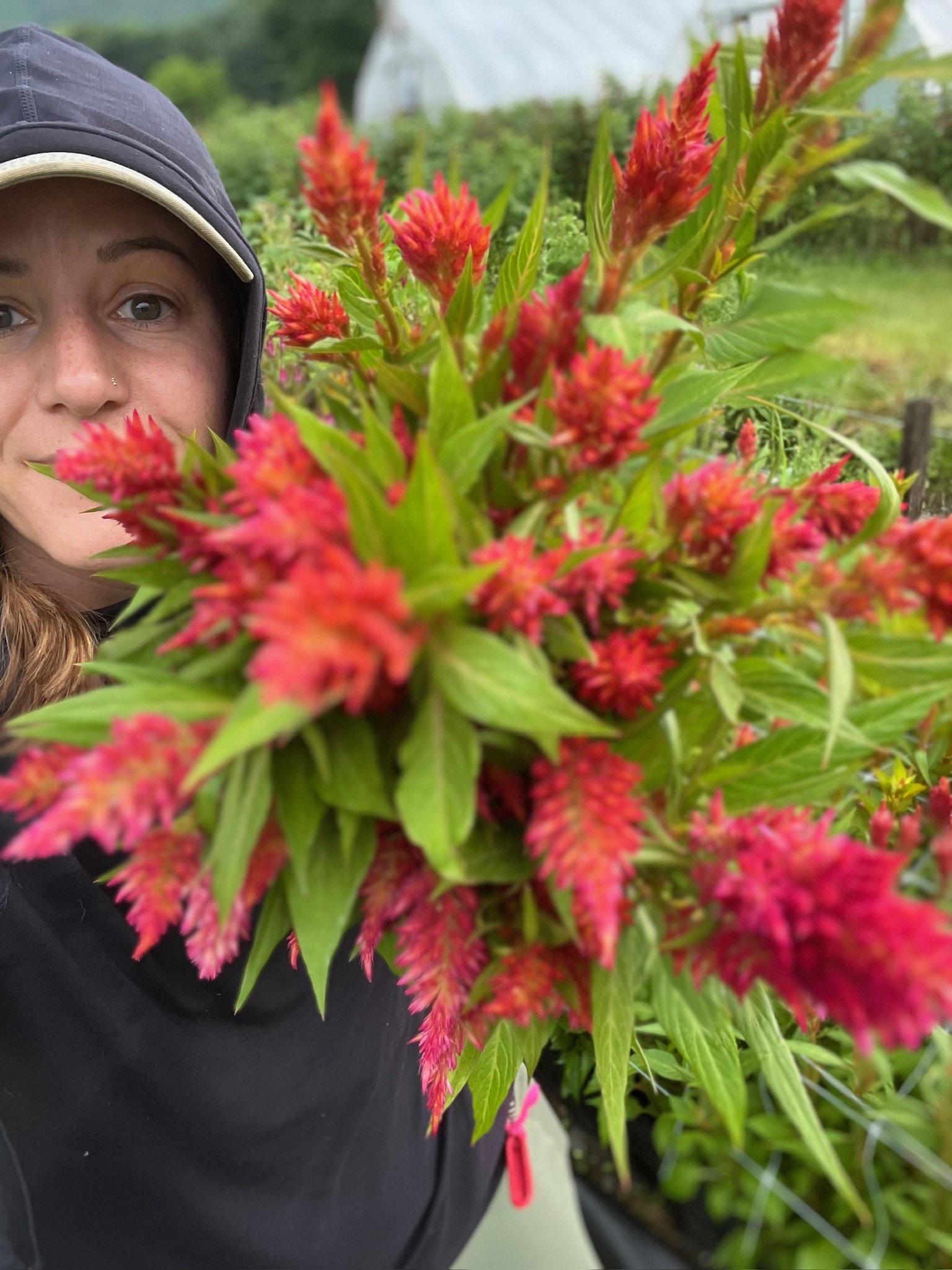 sunday on the farm: bouquets of summer