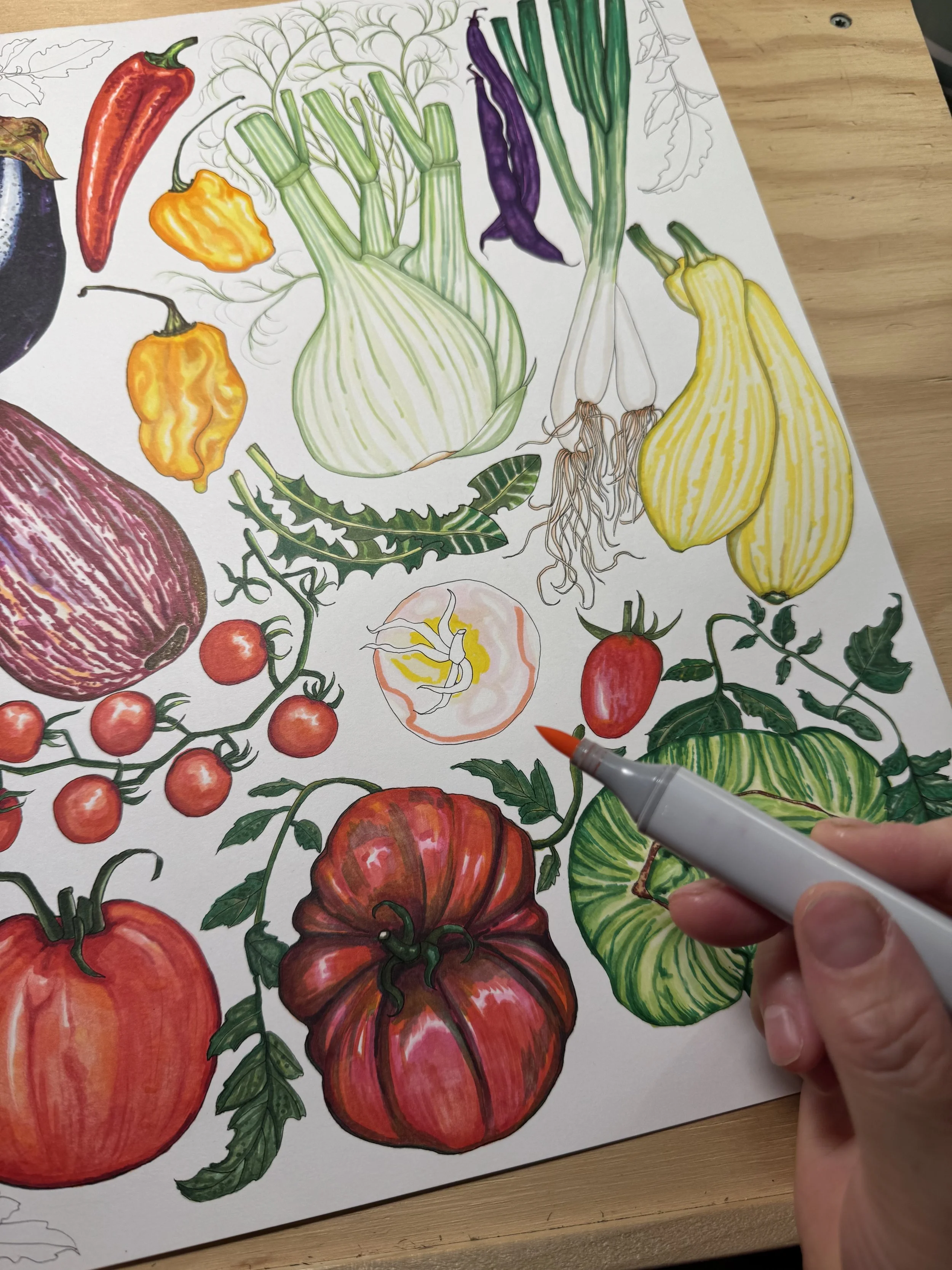 august veg in season.jpeg