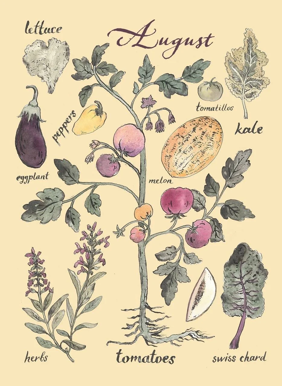 veg in season august.JPG