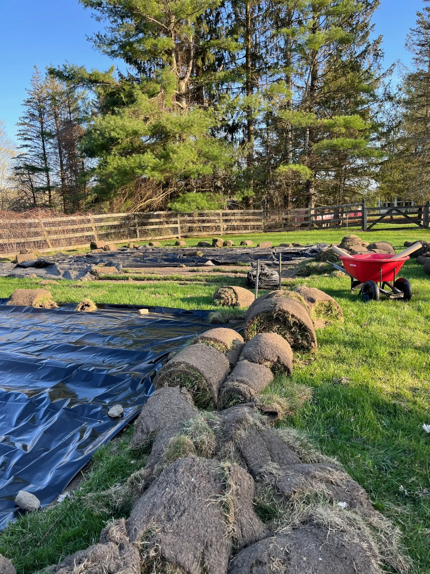 the farm — Dancing Greens Farm