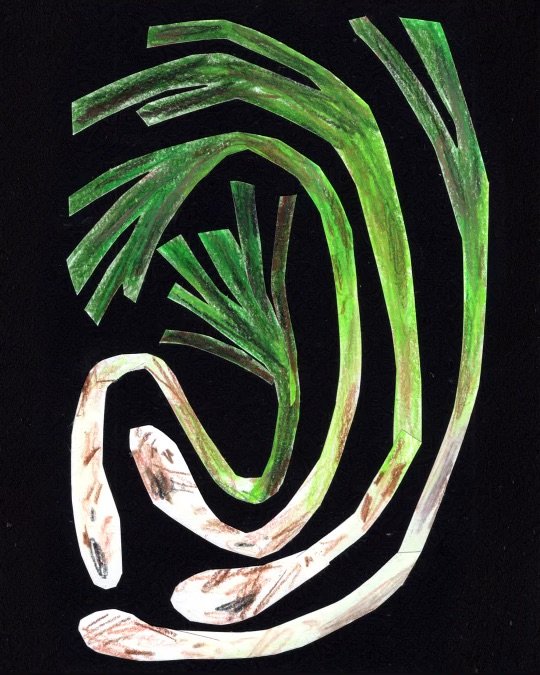 grilled scallions