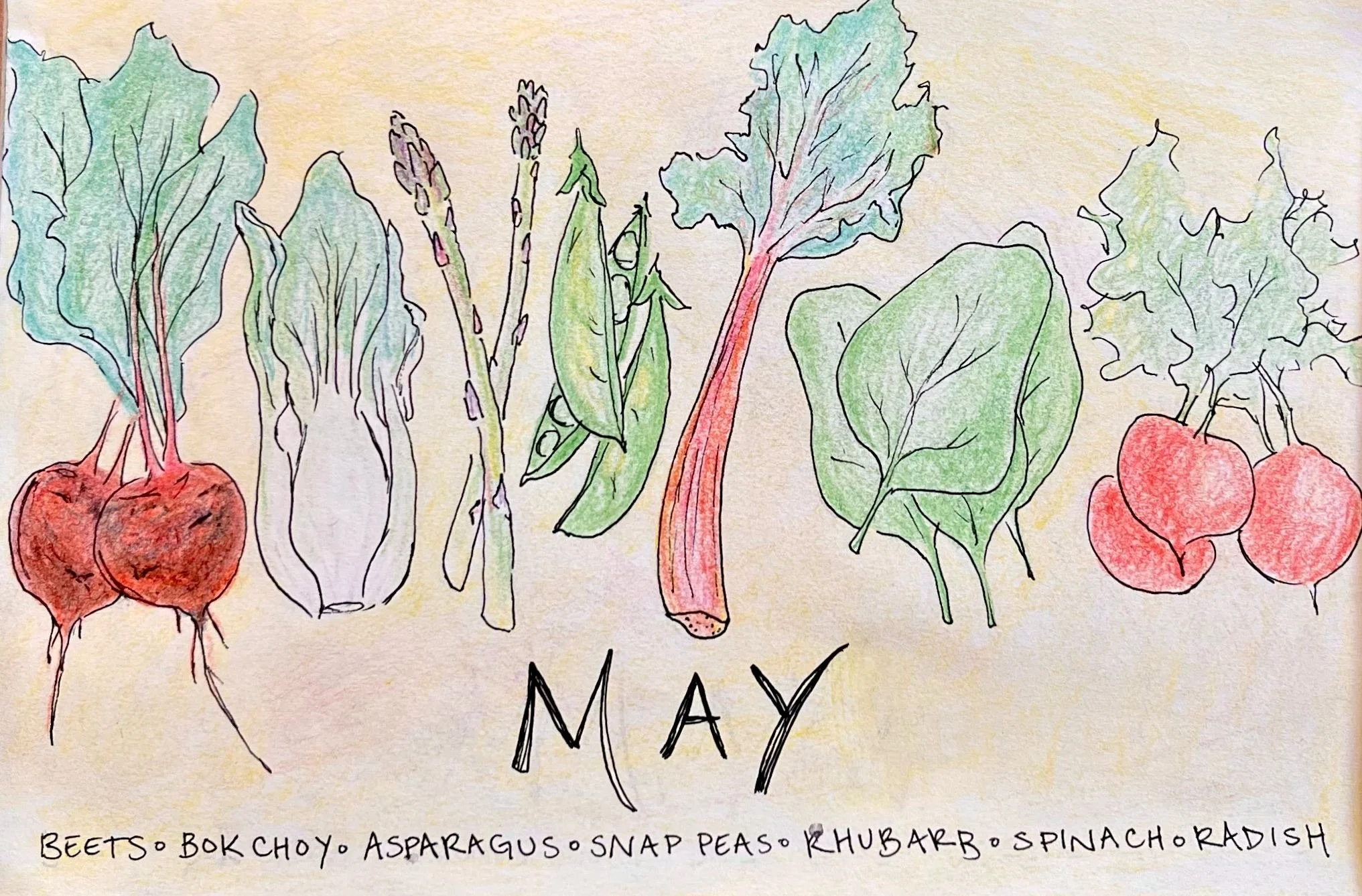 may veg in season.jpeg