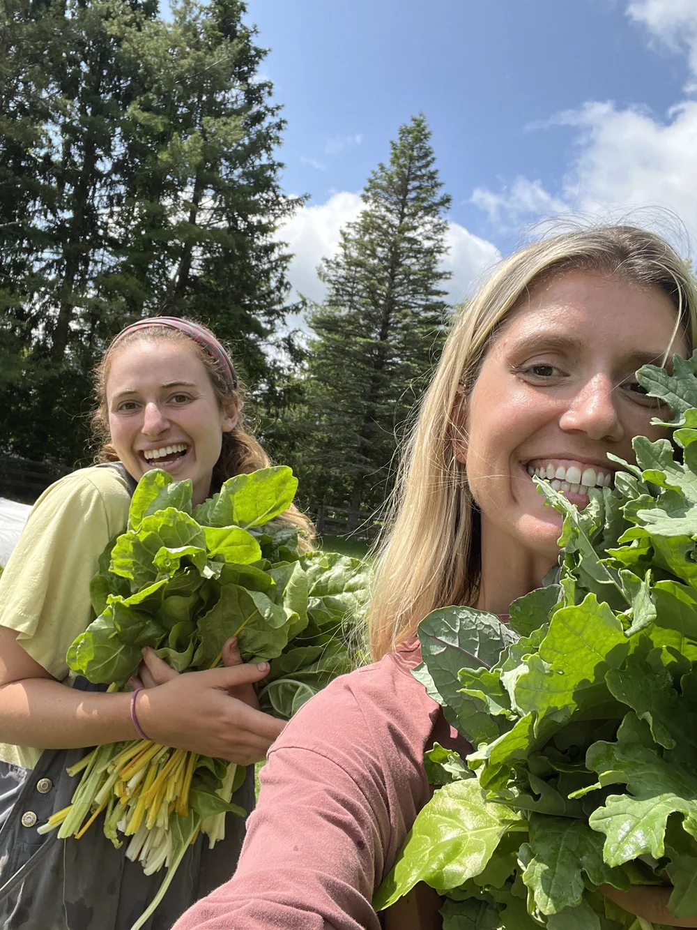 about — Dancing Greens Farm