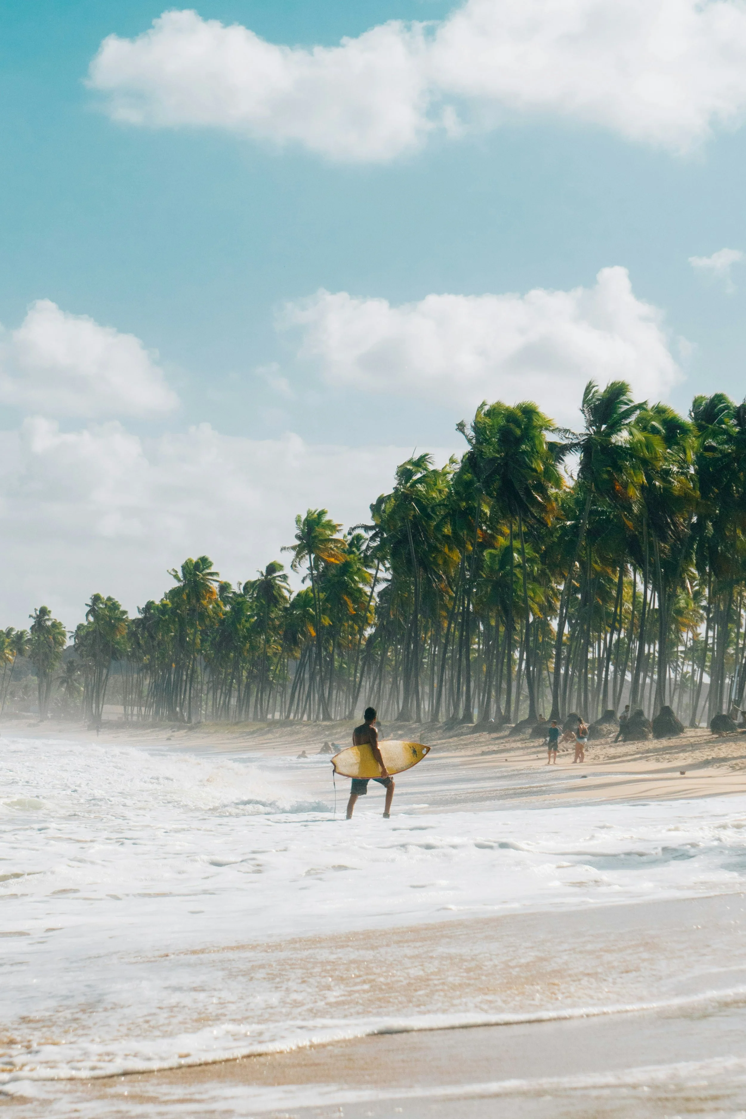 Person walking on the beach with a surfboard, palm trees lining the shore, and people in the background.