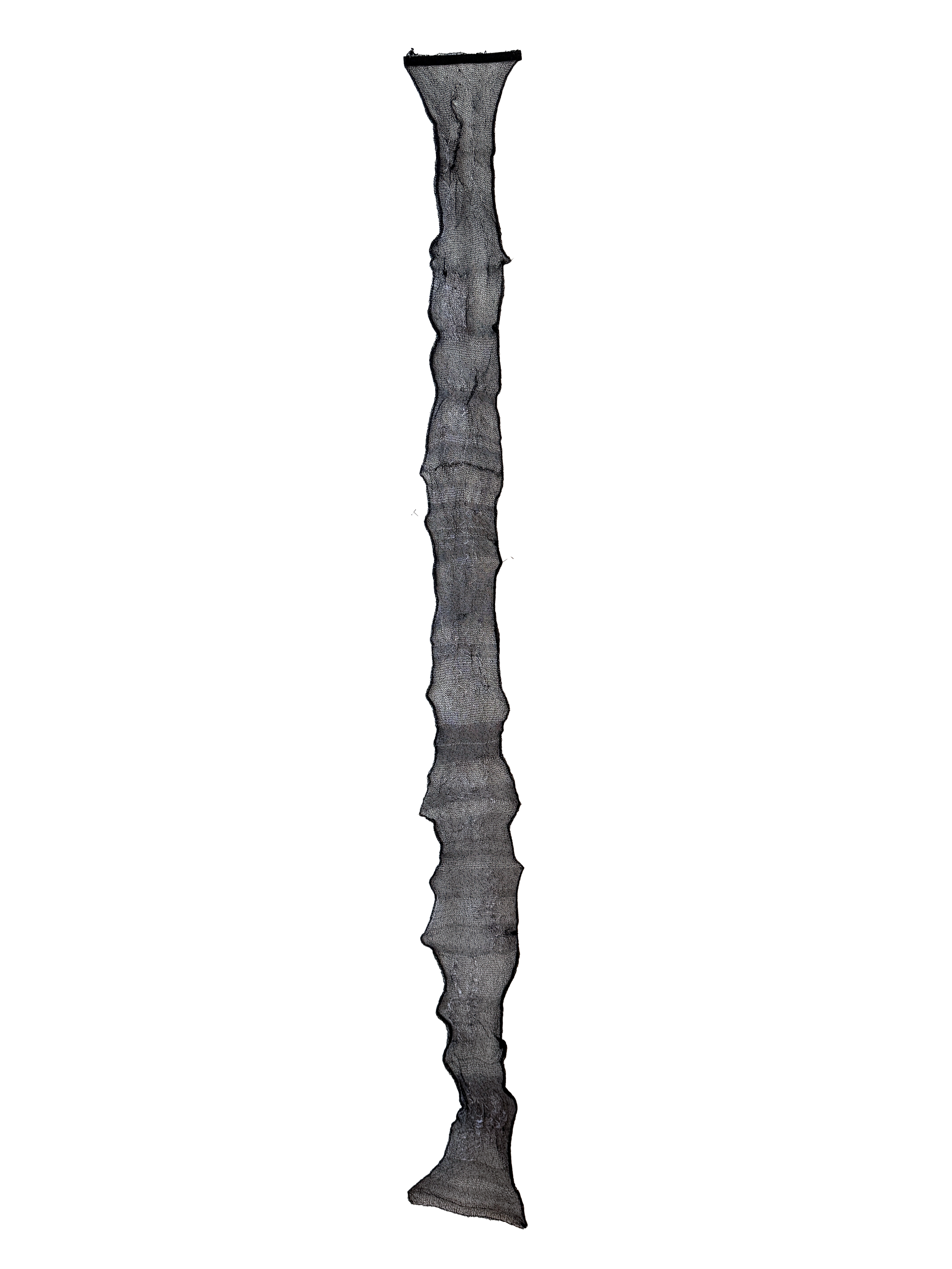 IMG_1116.png