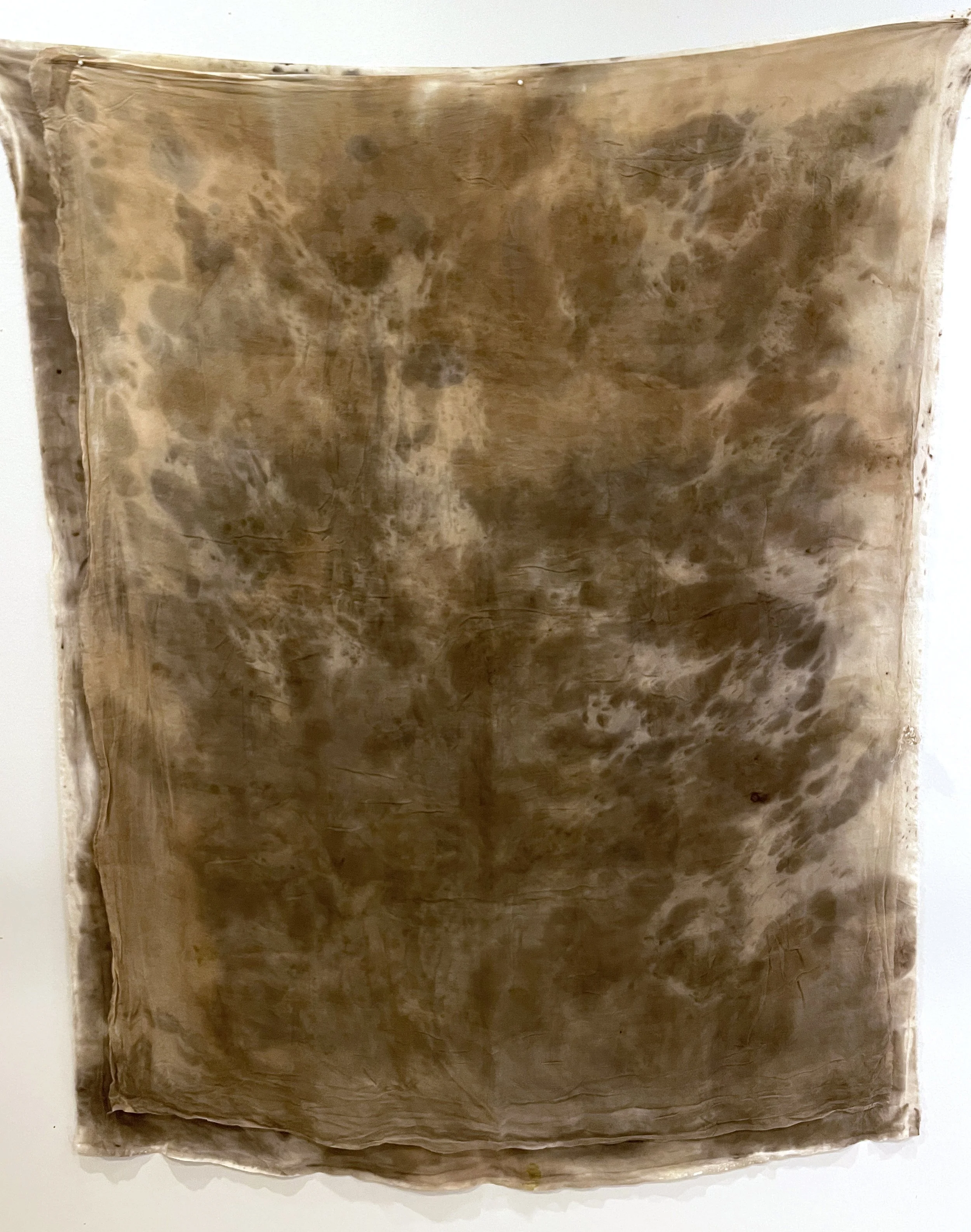 Panels with Gauze Overlay