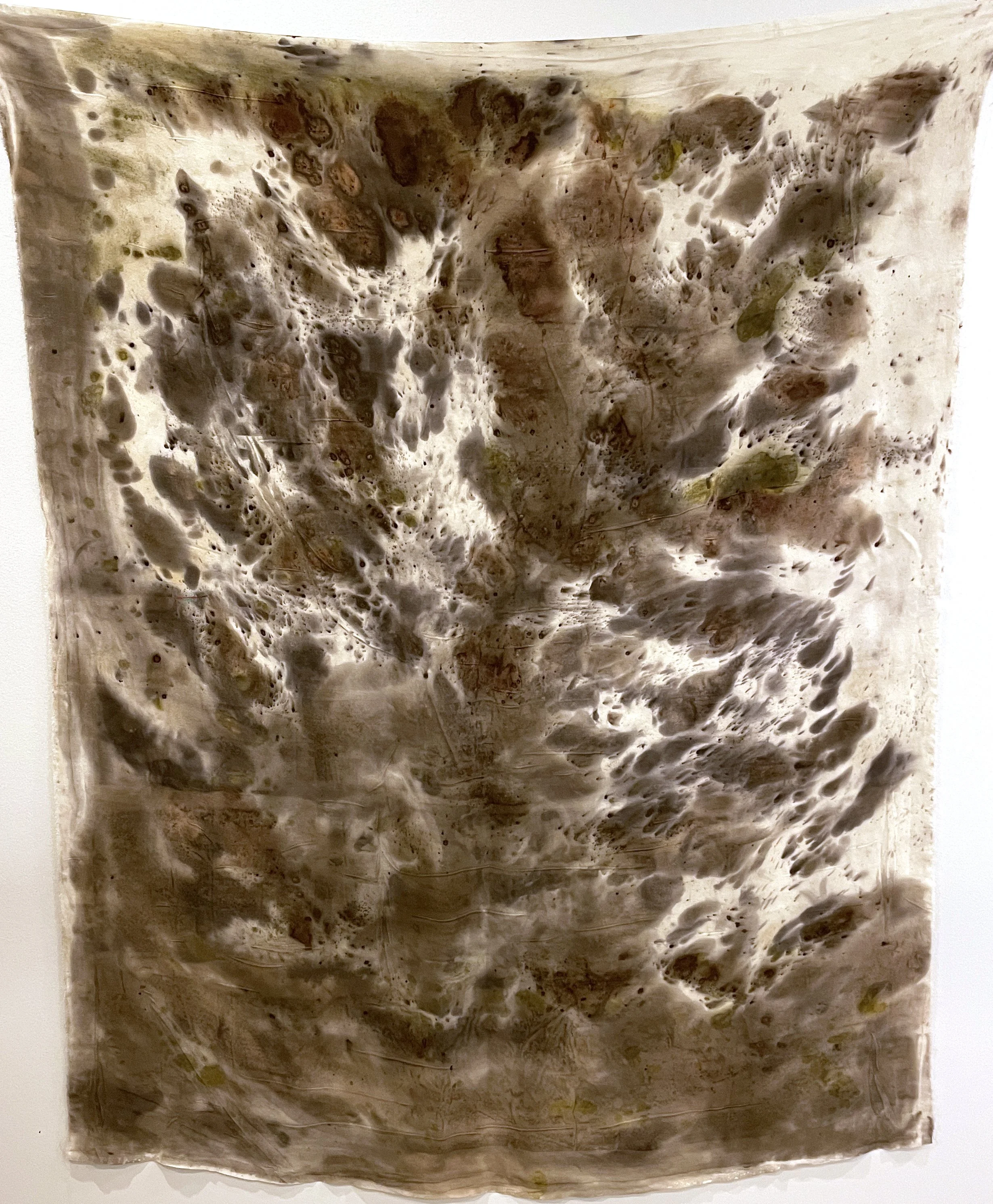 Panels without Gauze Overlay