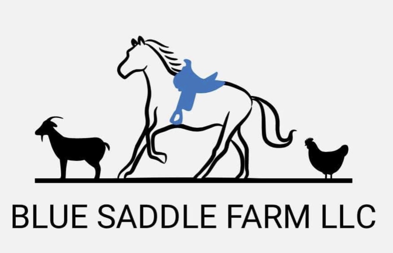 Blue Saddle Farm