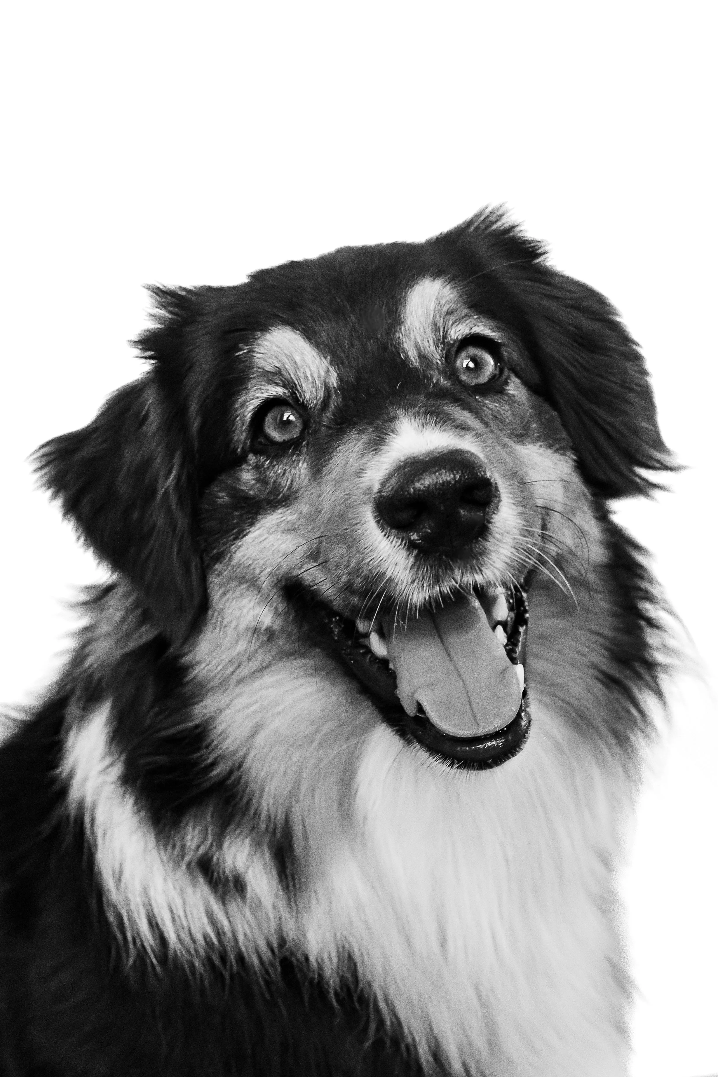 Nora & Jade's B&W Session-8.jpg