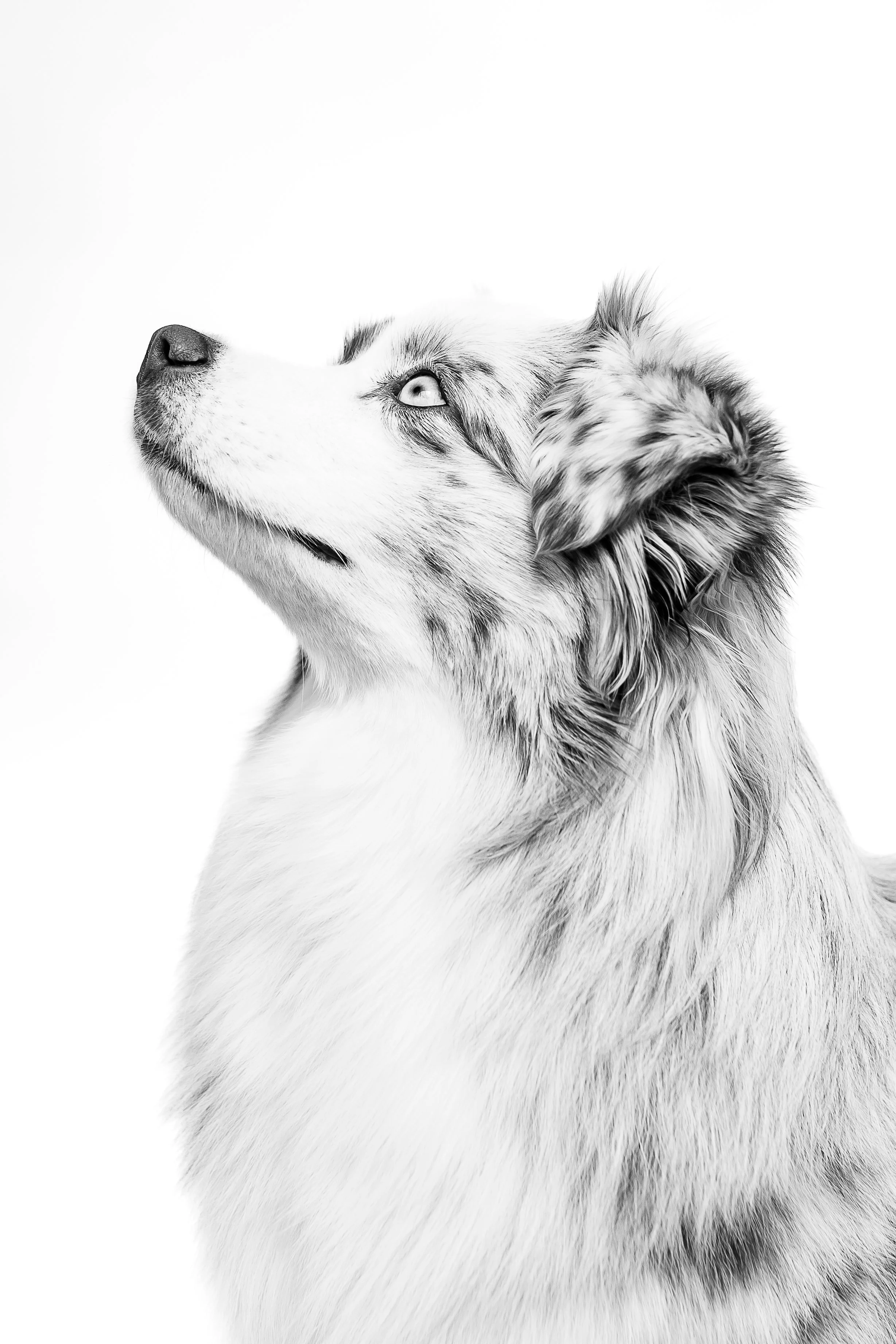 Sophie B&W 2024-12.jpg