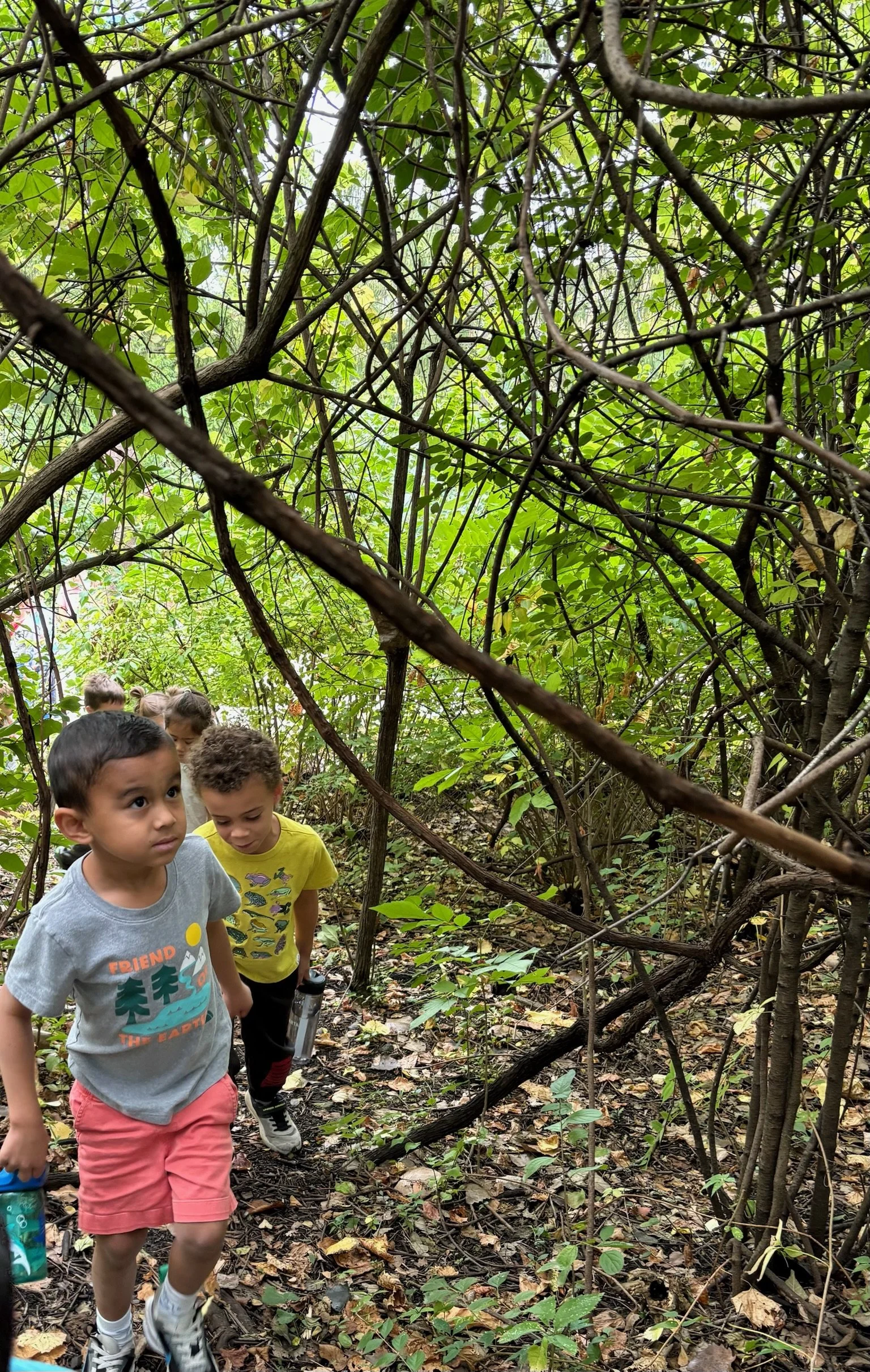 Kids walking through a forest.