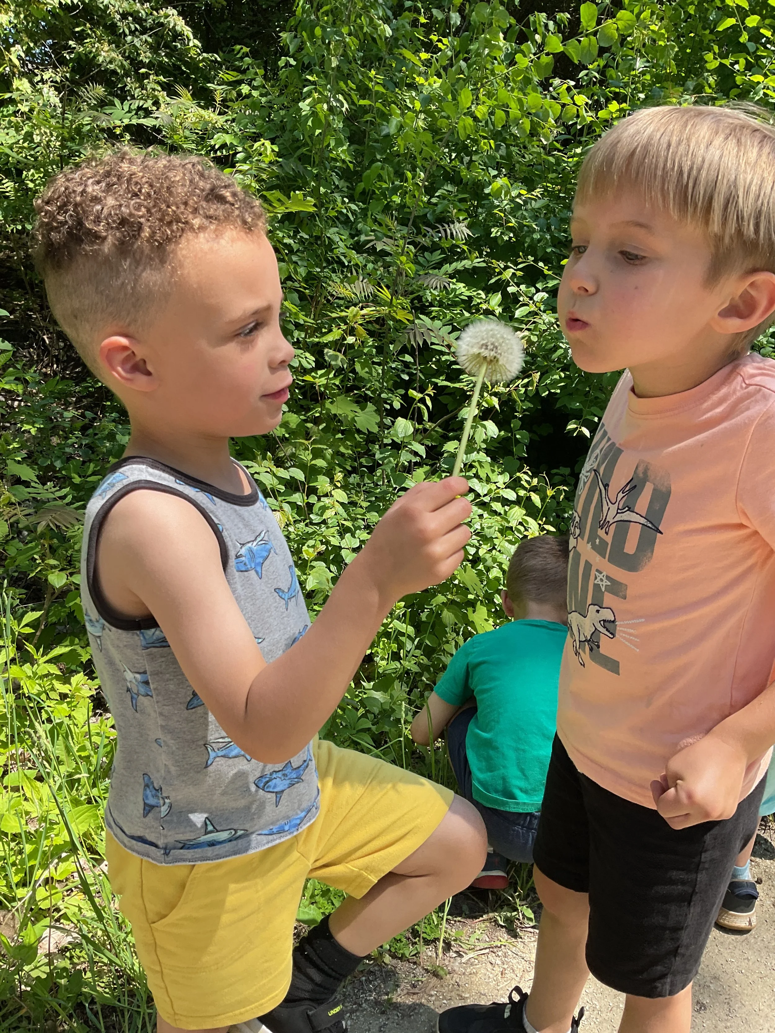 Two kids with a dandelion