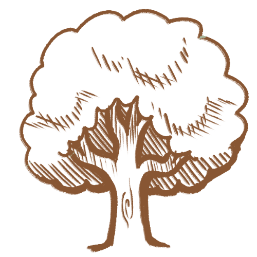 Sketch of a tree.