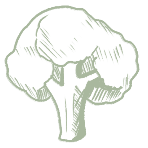 Sketch of broccoli.