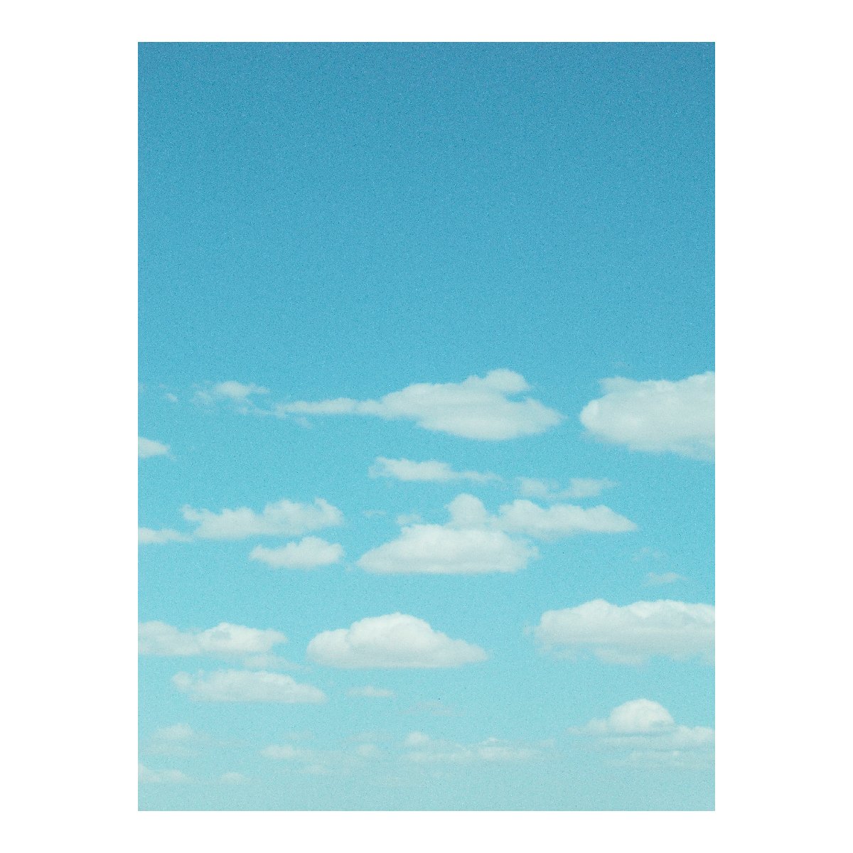 Vertical 3.jpg