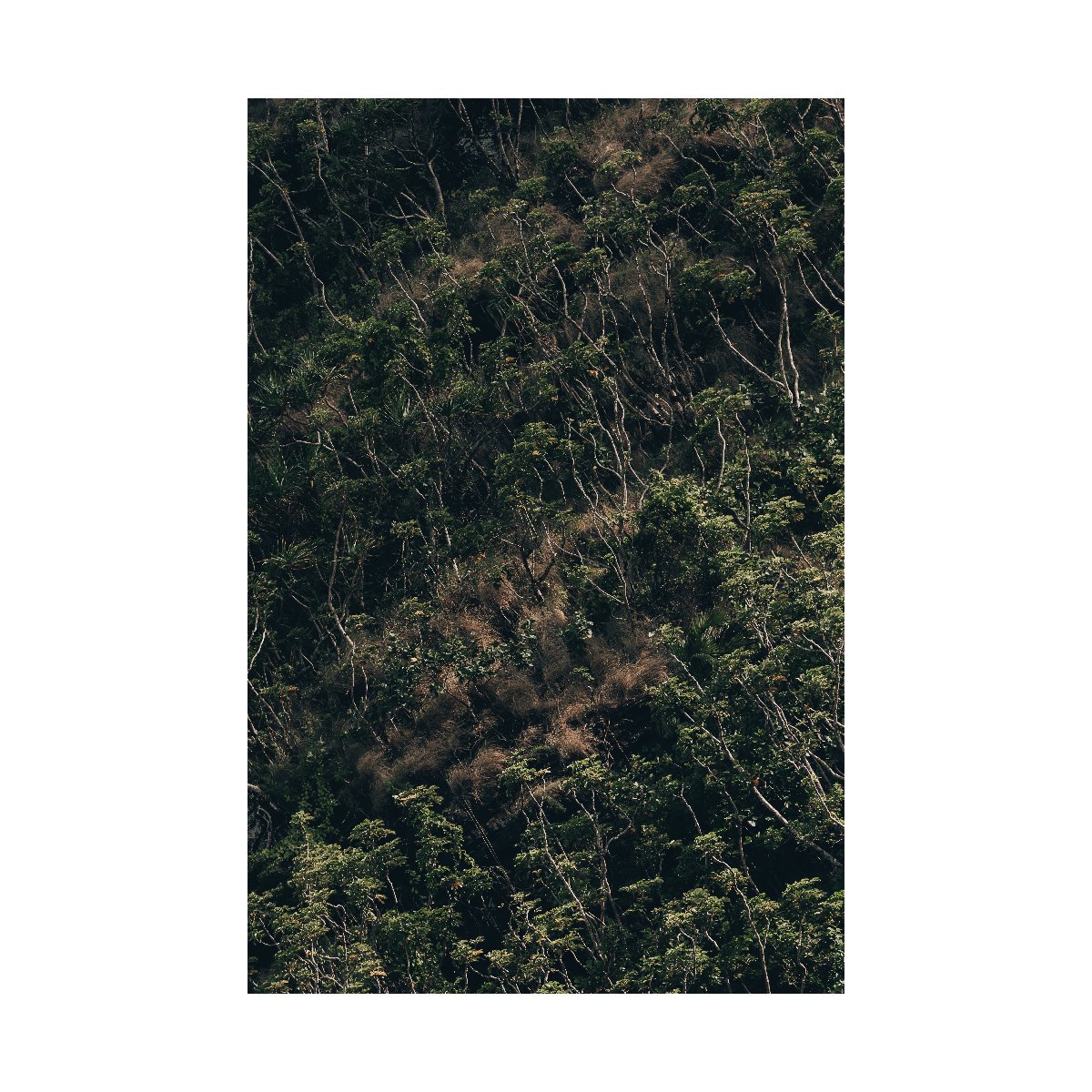 Artboard 1.jpg