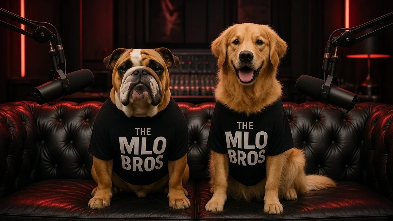 The MLO Bros dogs