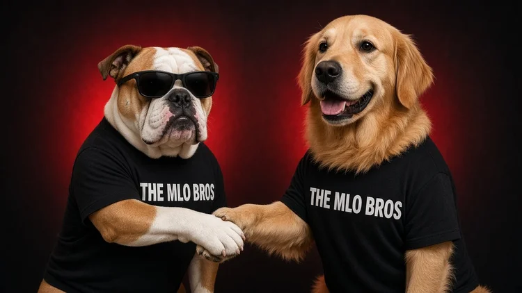 The MLO Bros bulldog and golden retriever shaking hands