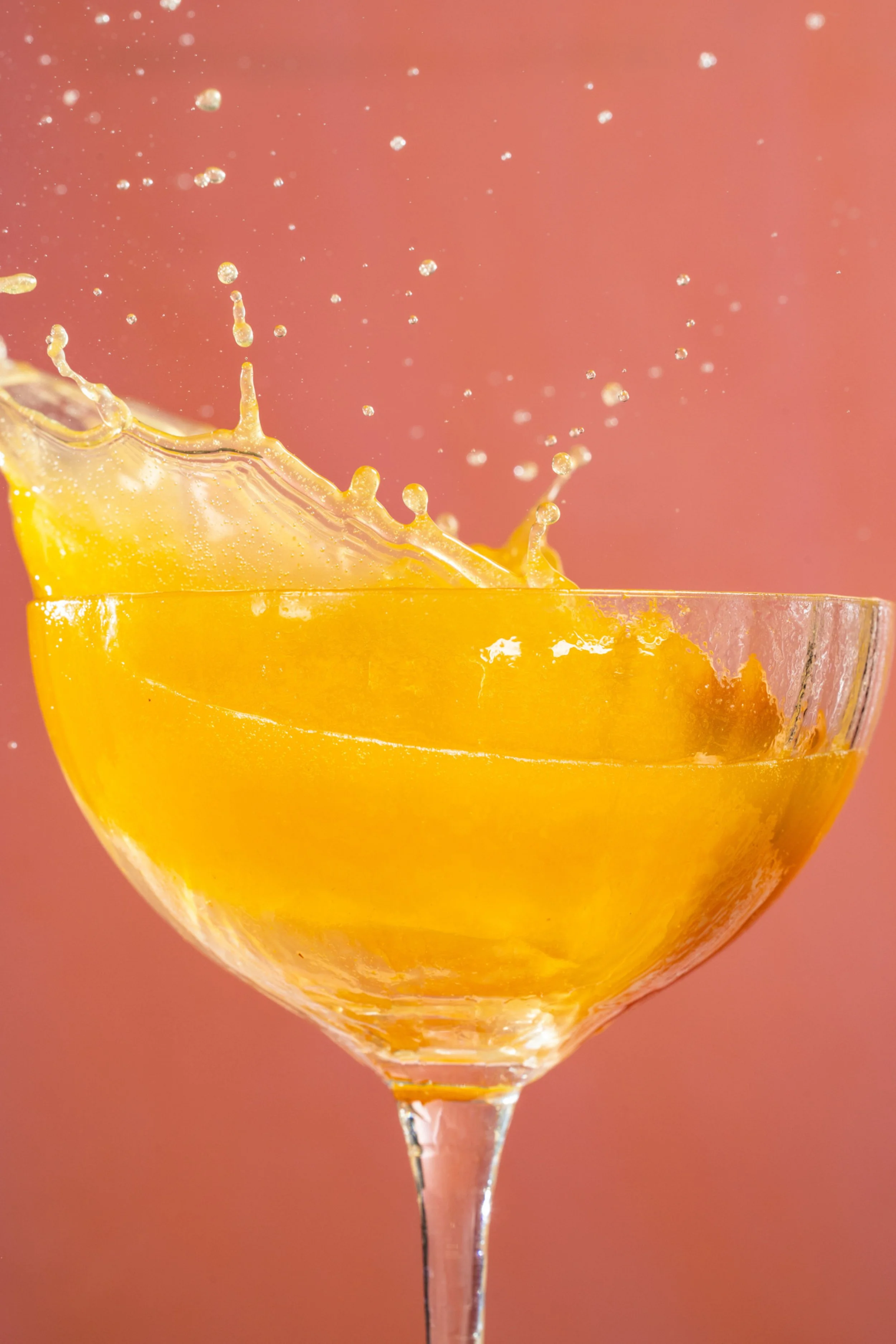 SFS_Bellini-96.JPG