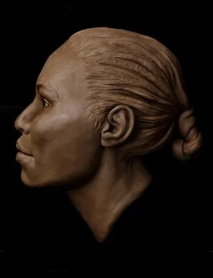 Master 3D Facial Reconstruction.jpeg