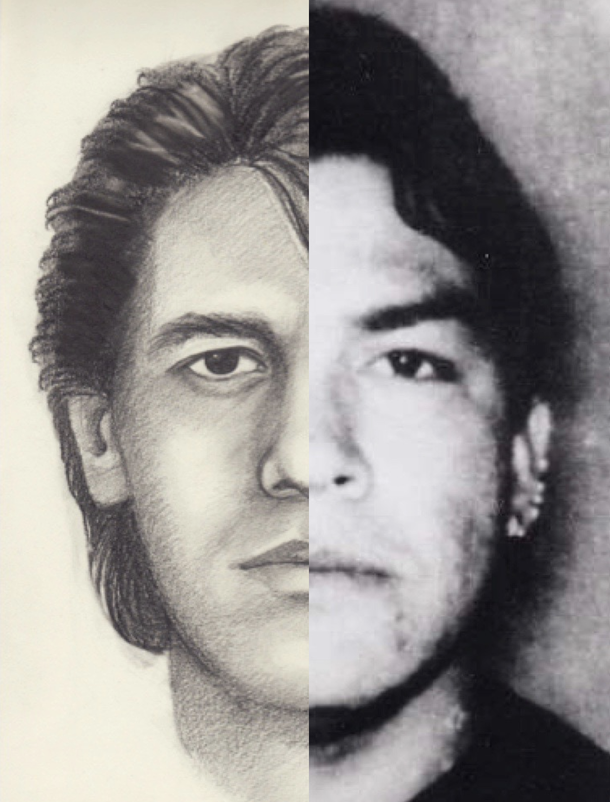 Composite Split HM.png