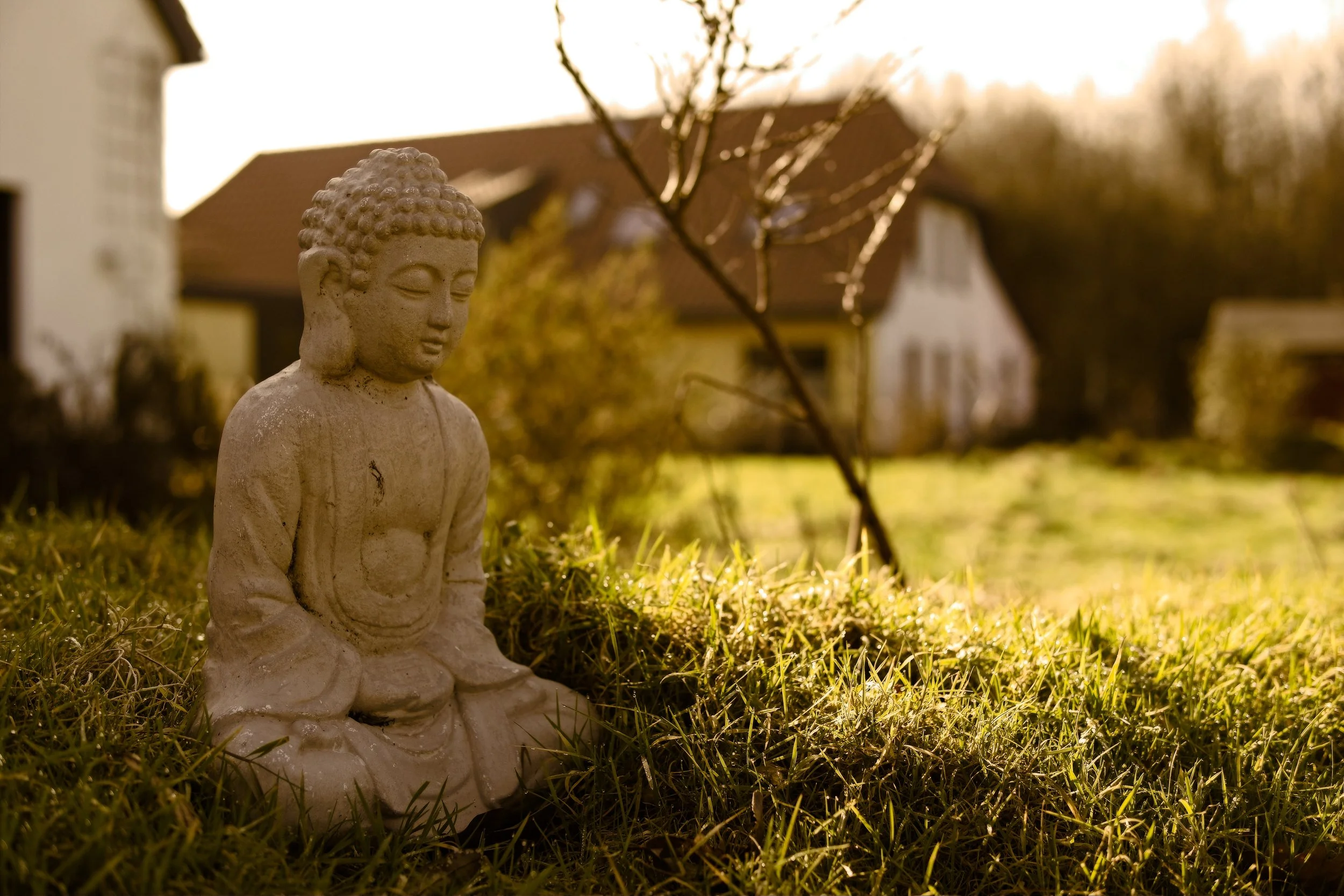 Ambiente am Holunderhof