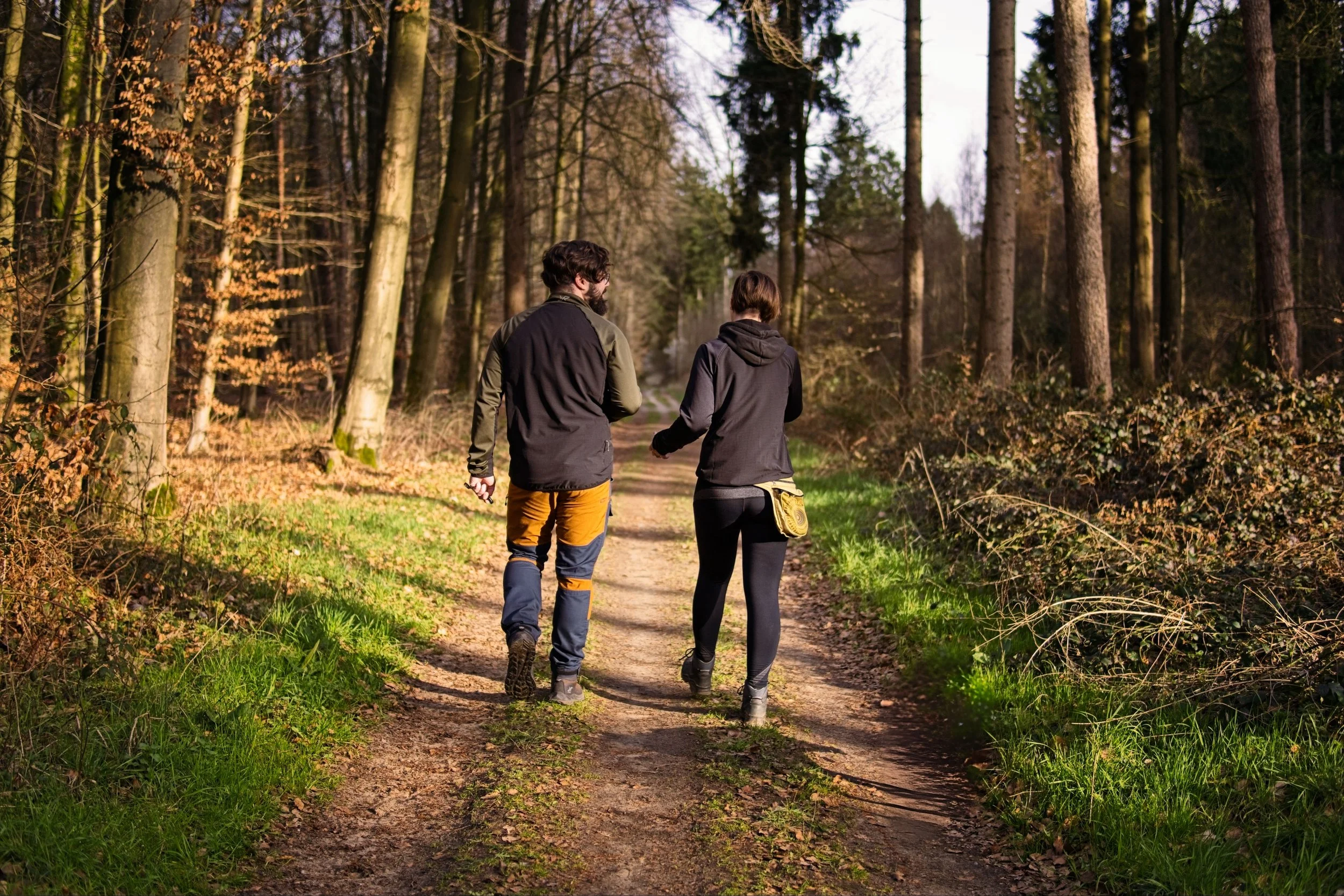 Ein Mann und eine Frau gehen im Wald auf einem Weg spazieren.