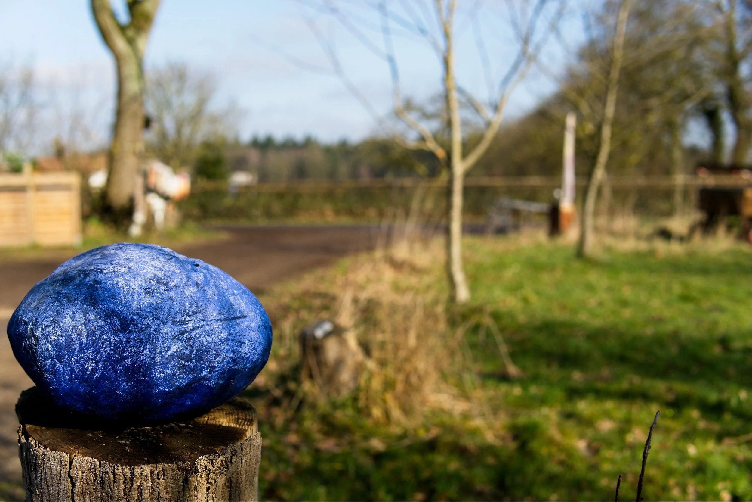 Ambiente am Holunderhof