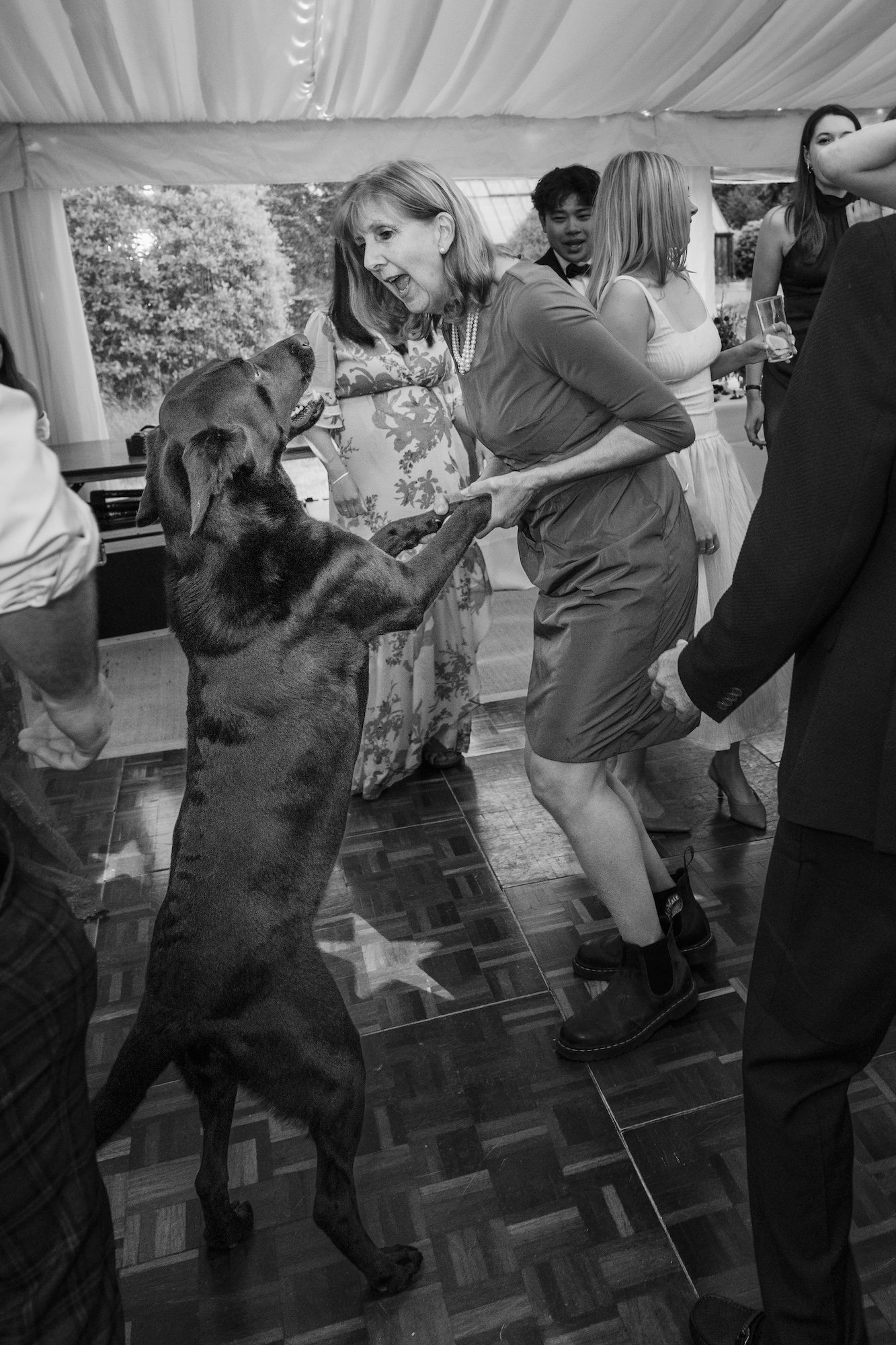 Dog_Dancefloor_Wedding.jpg