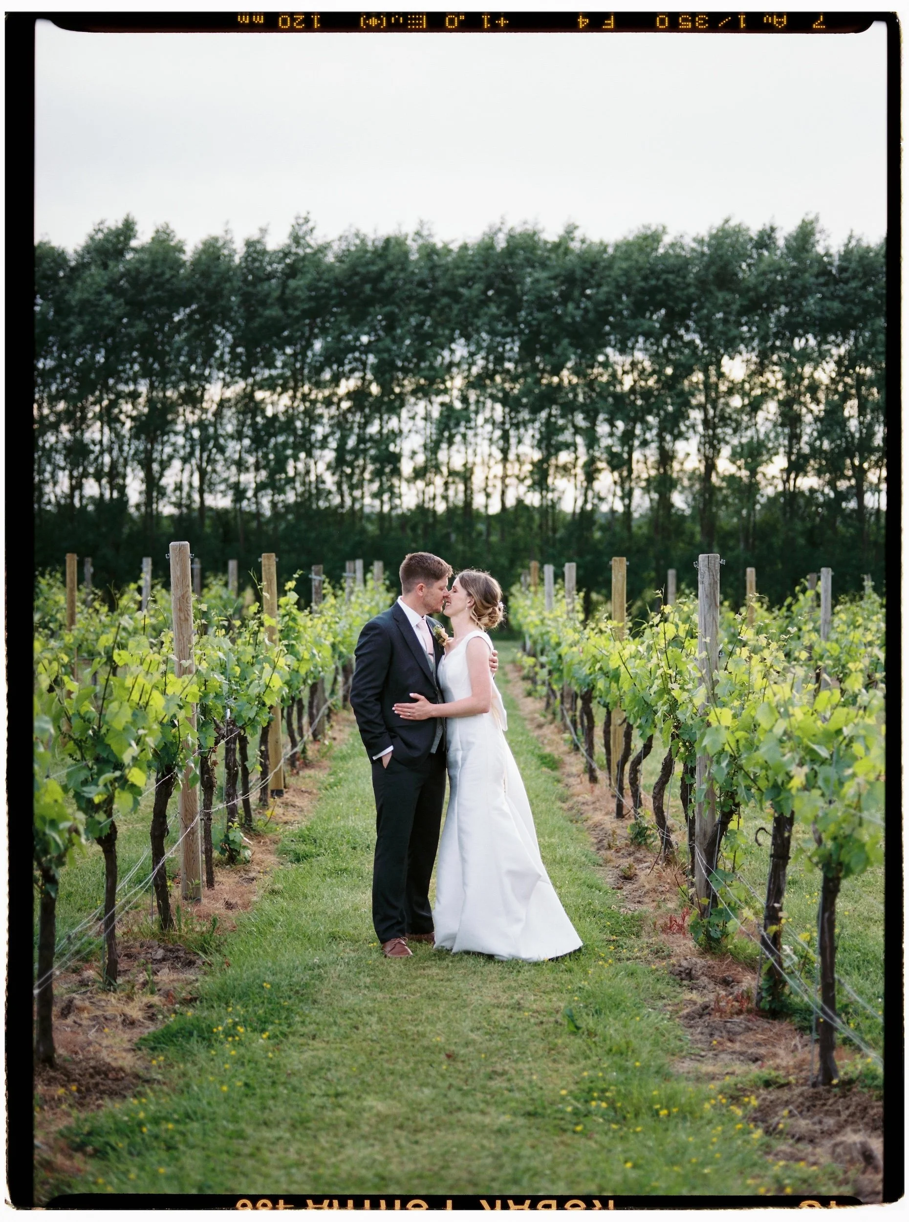 Bride_Groom_Portrait_Film_Wedding_Aldwick_Estate.jpg