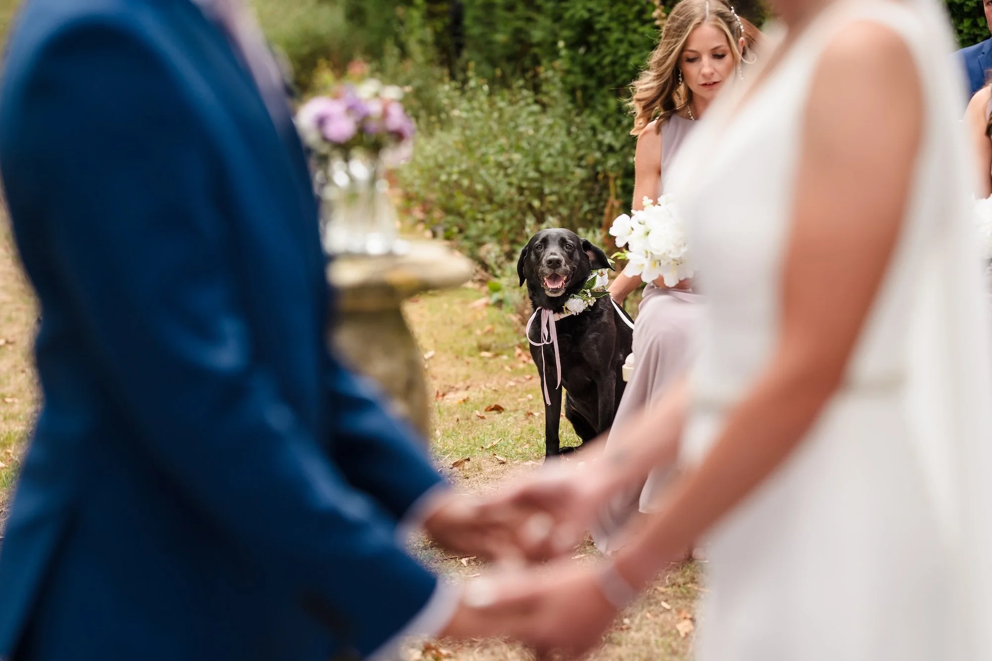 Wedding-Guyers-House-Dog.jpg