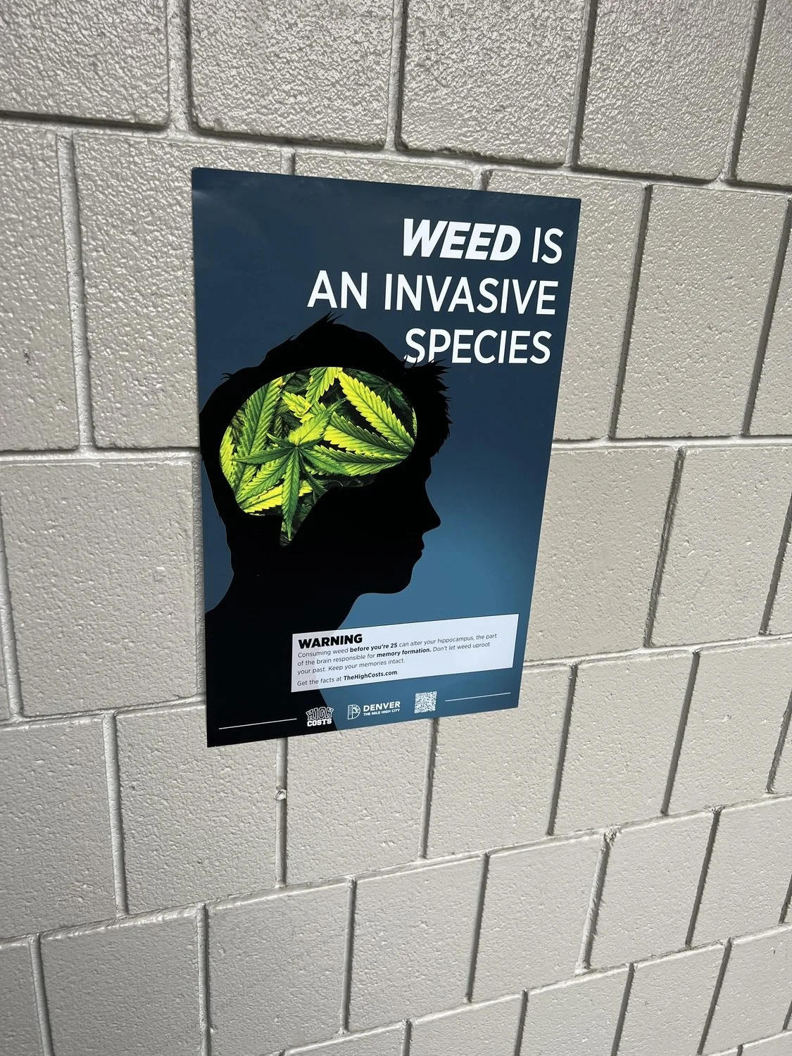 Weed Is An Invasive Species cannabis-prevention poster on a painted cinder-block school wall
