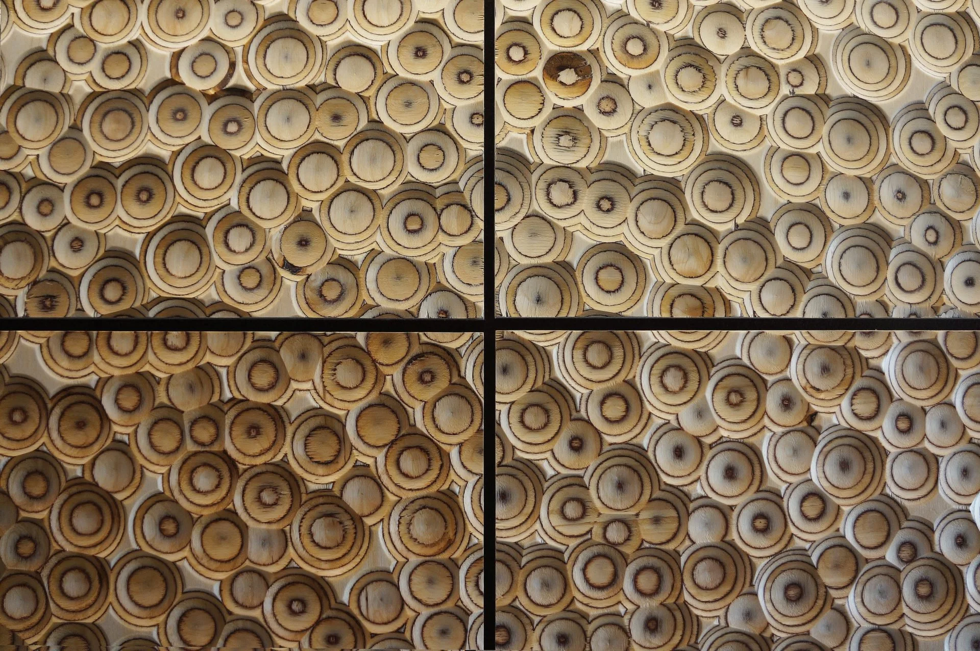 A collection of wooden log slices with concentric rings, arranged in a grid pattern on a surface.