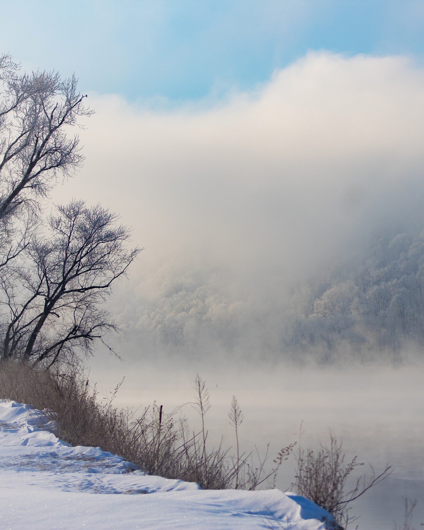 The magic of ❄ frozen fog ❄ on the river

📷 @melissaannburkhardt 
#ohioriverway #ohioriver