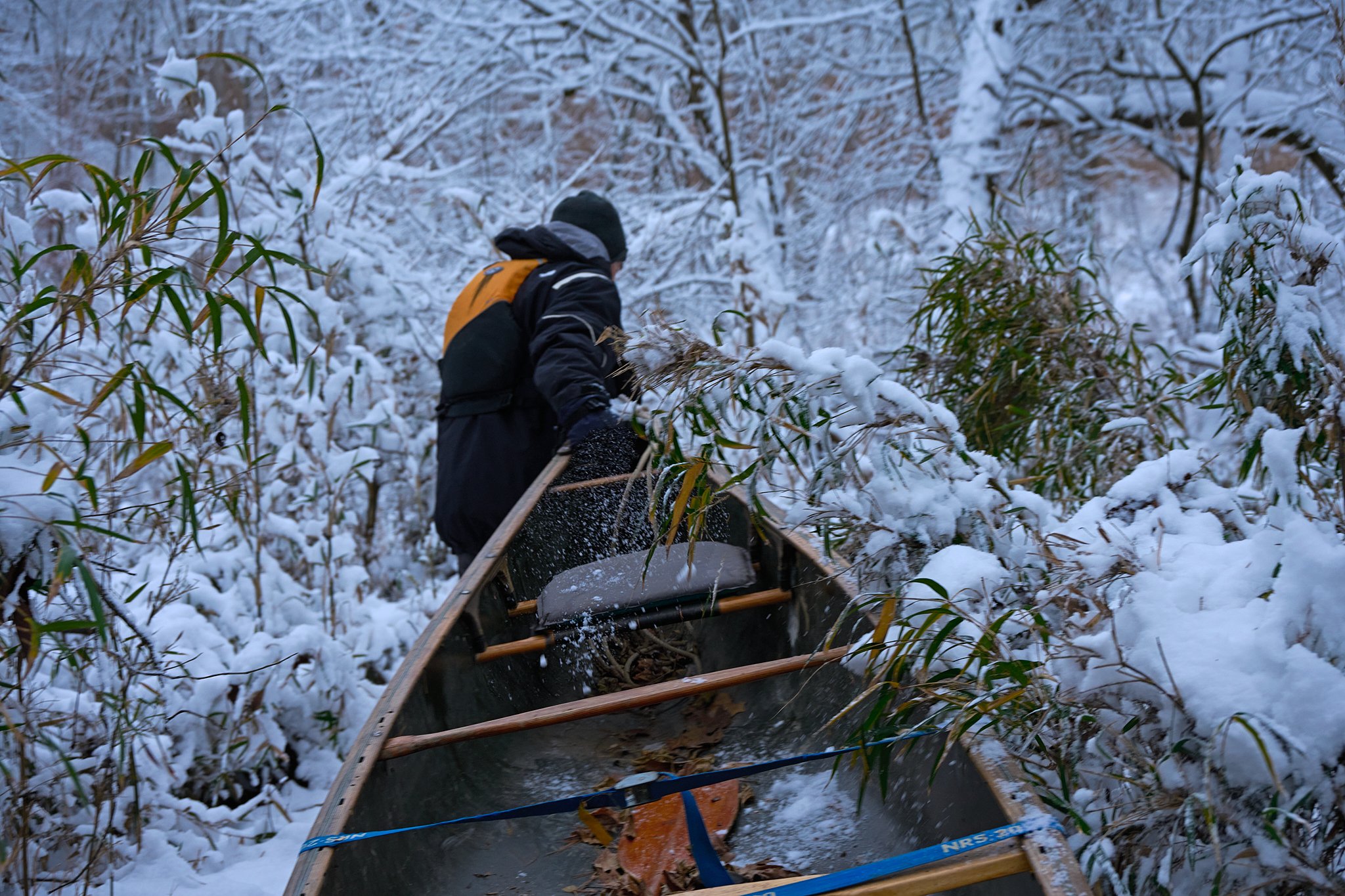 January = New Beginnings