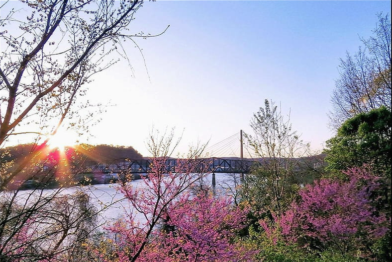 The river is waking up for spring 