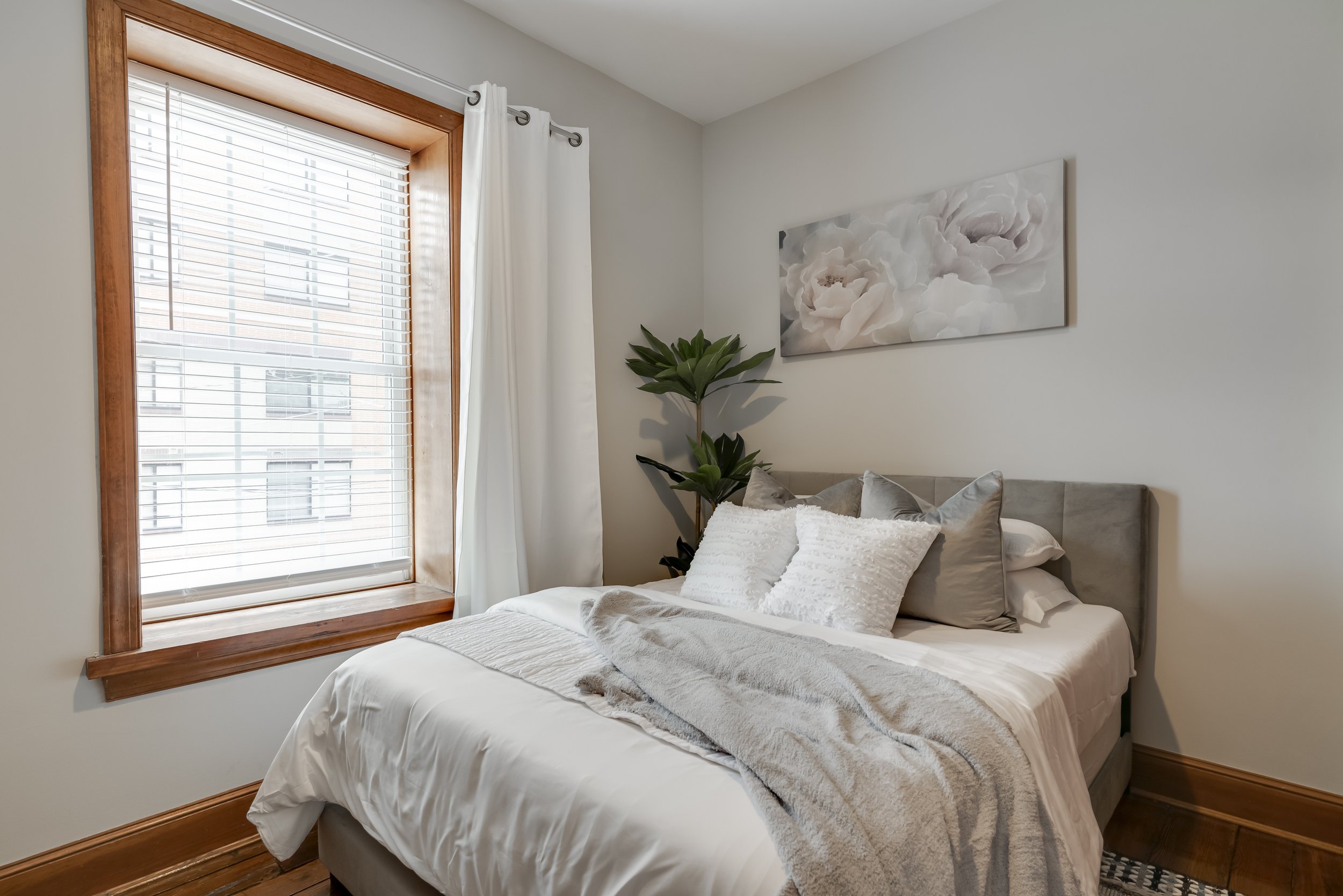 301 Cedar -19.jpg