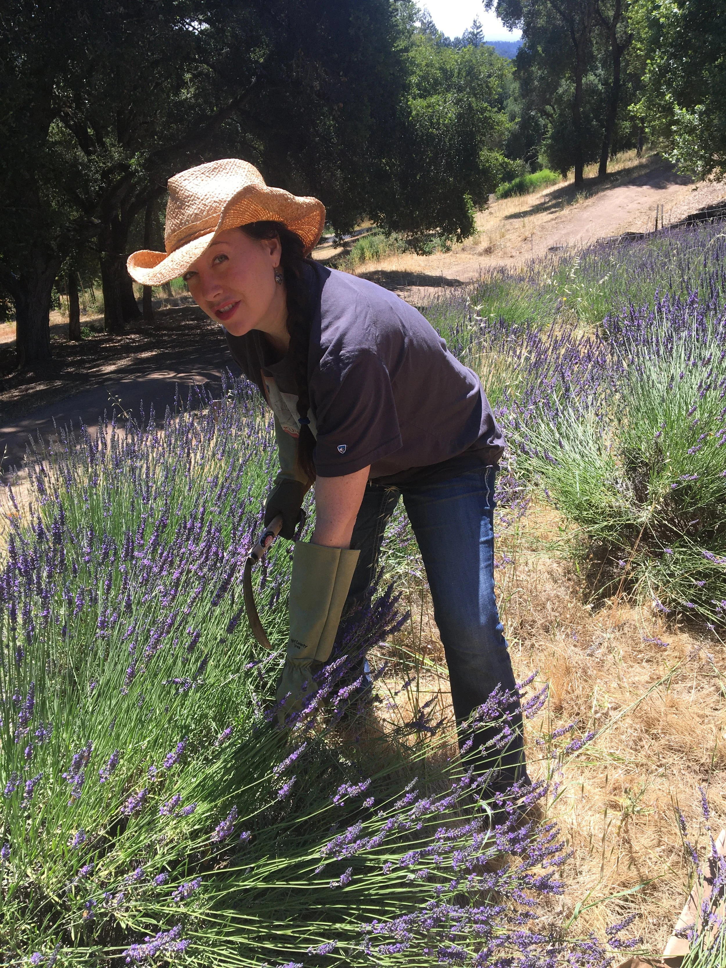 Who We Are — Roberts Ranch Vineyards
