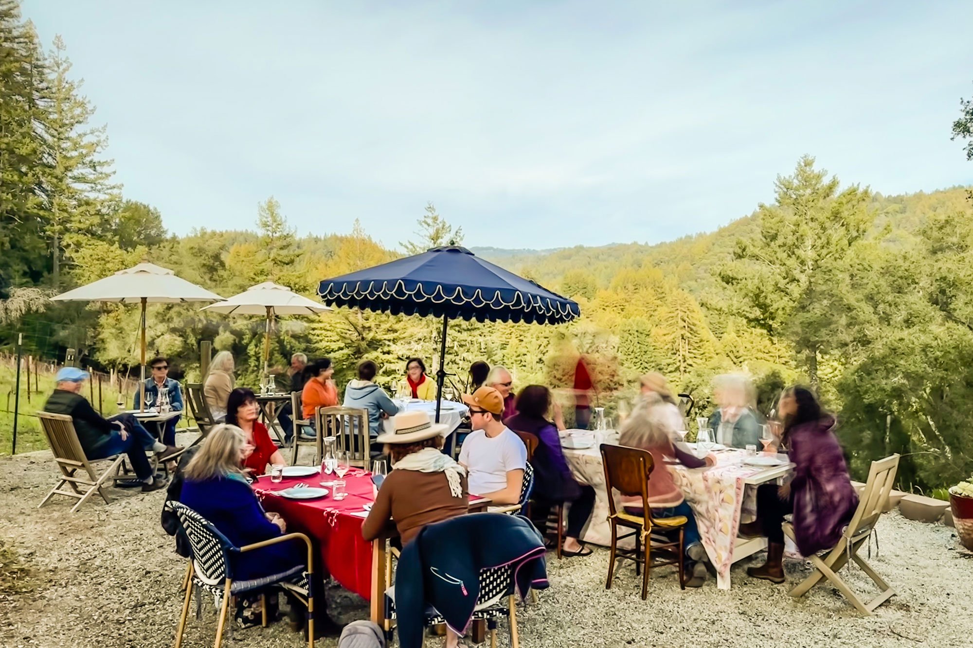Best outdoor wine tasting experiences in California, Roberts Ranch