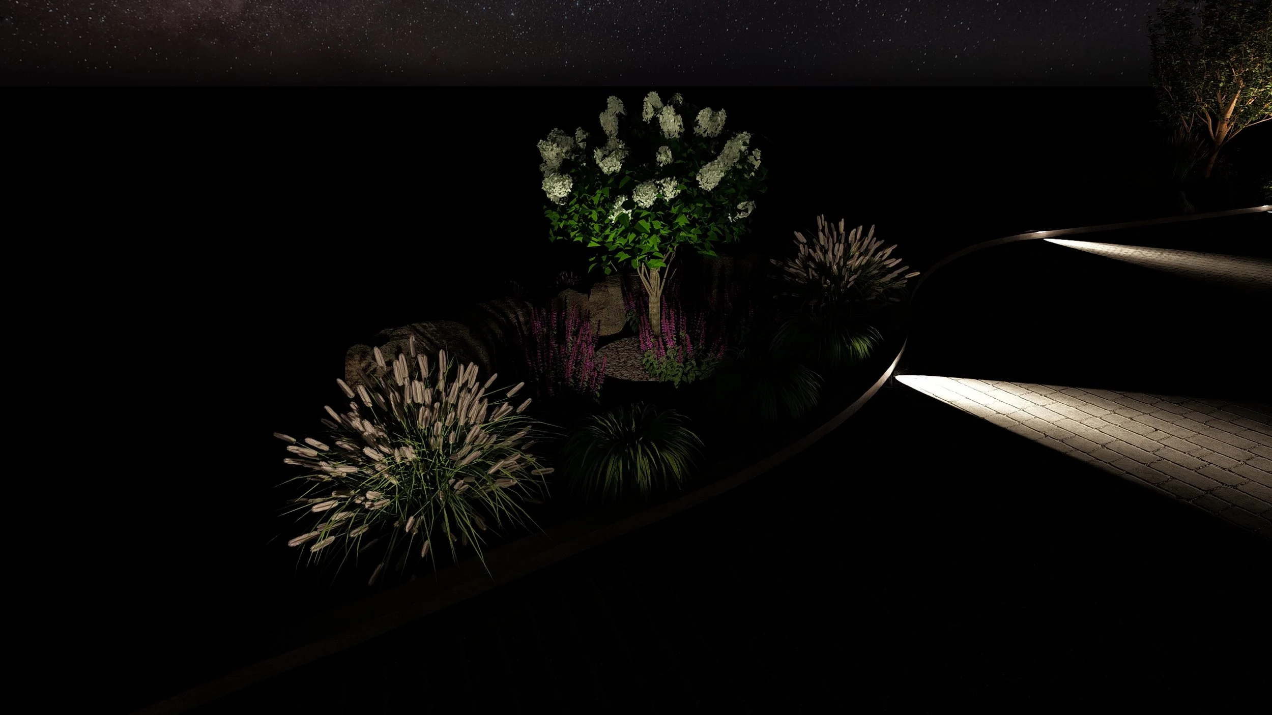 Night_26 - Photo.jpg