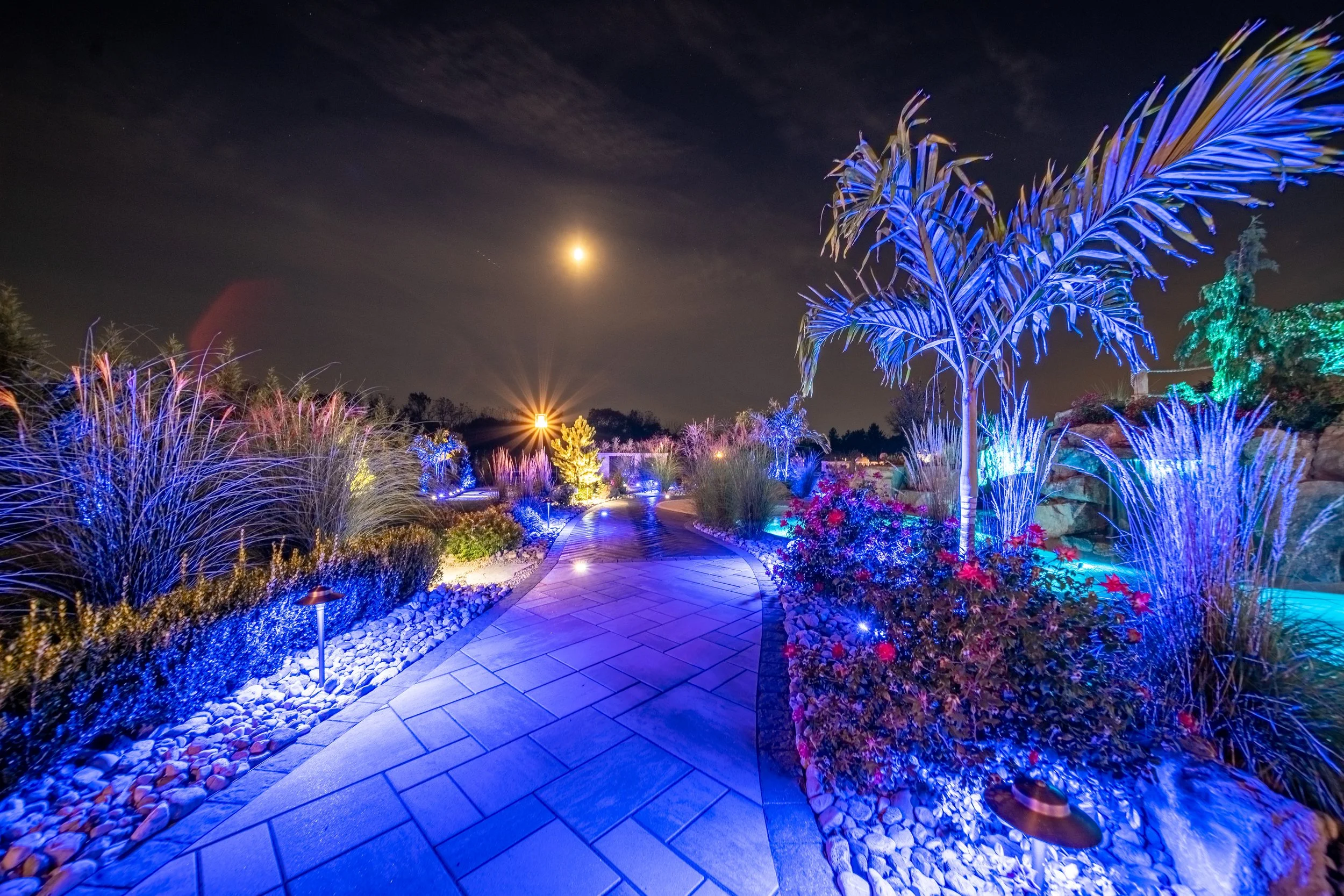 DSC06319-HDR.jpg