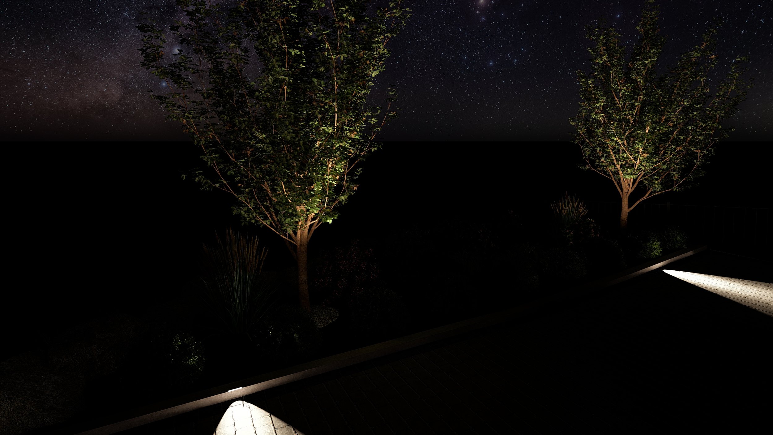 Night_15 - Photo.jpg