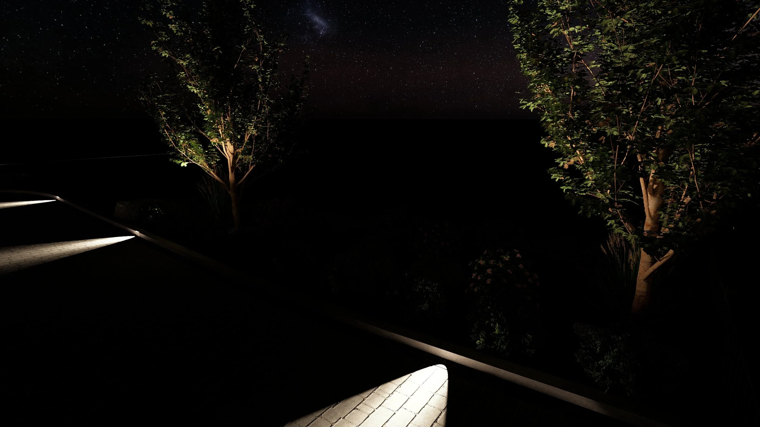 Night_16 - Photo.jpg