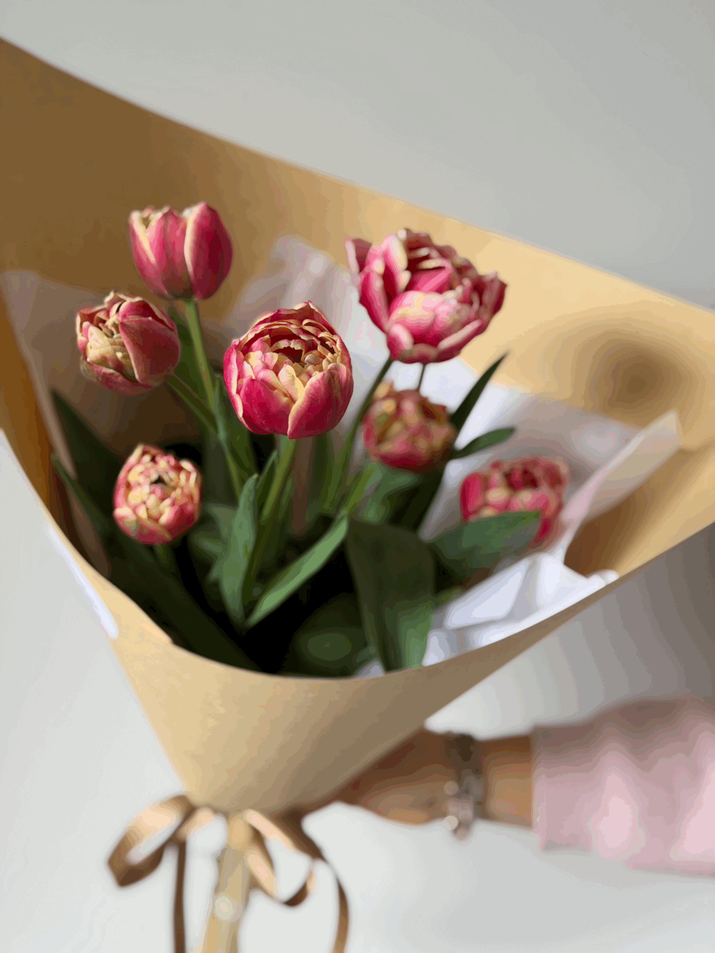 Friday Flowers | Tulips