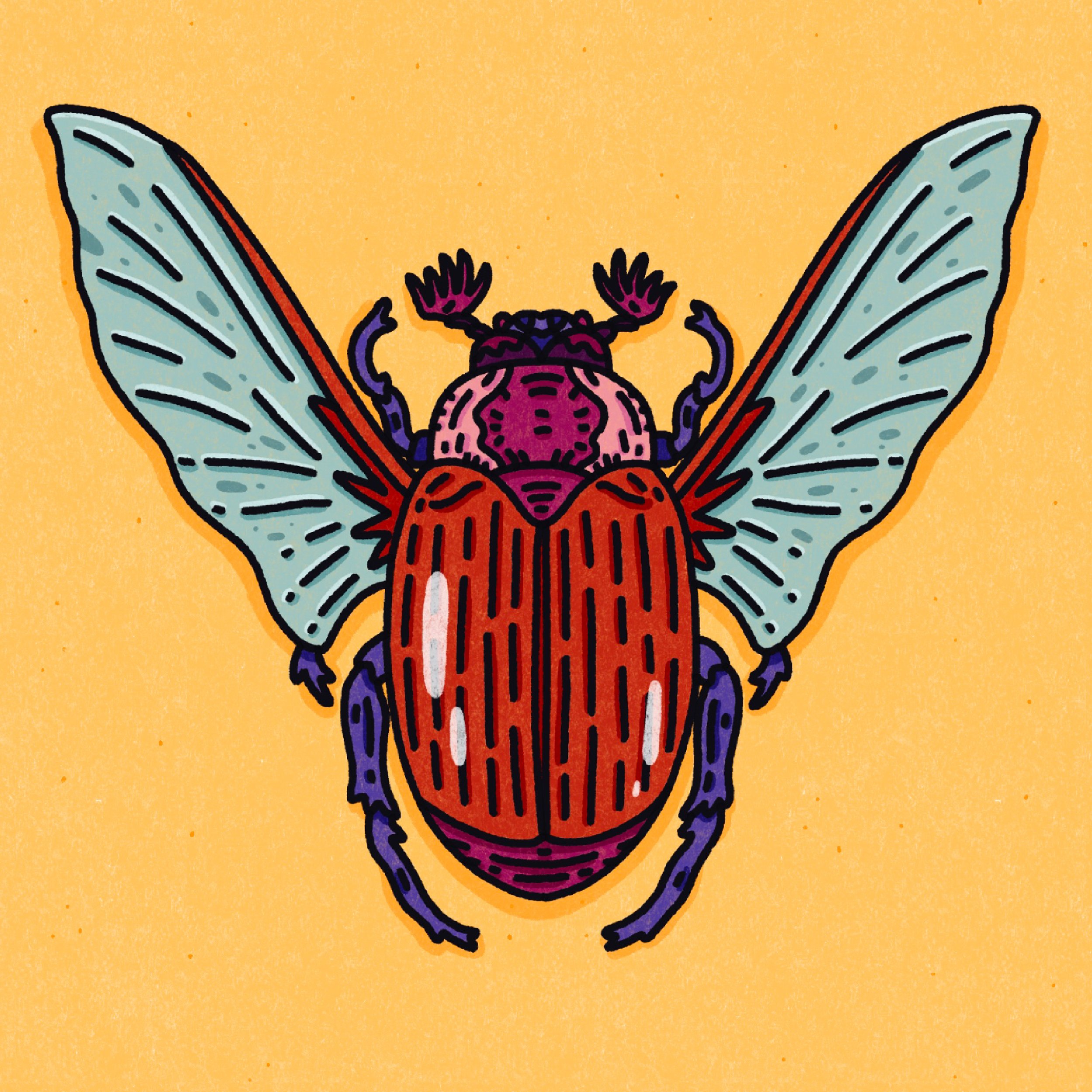 Beetle Print