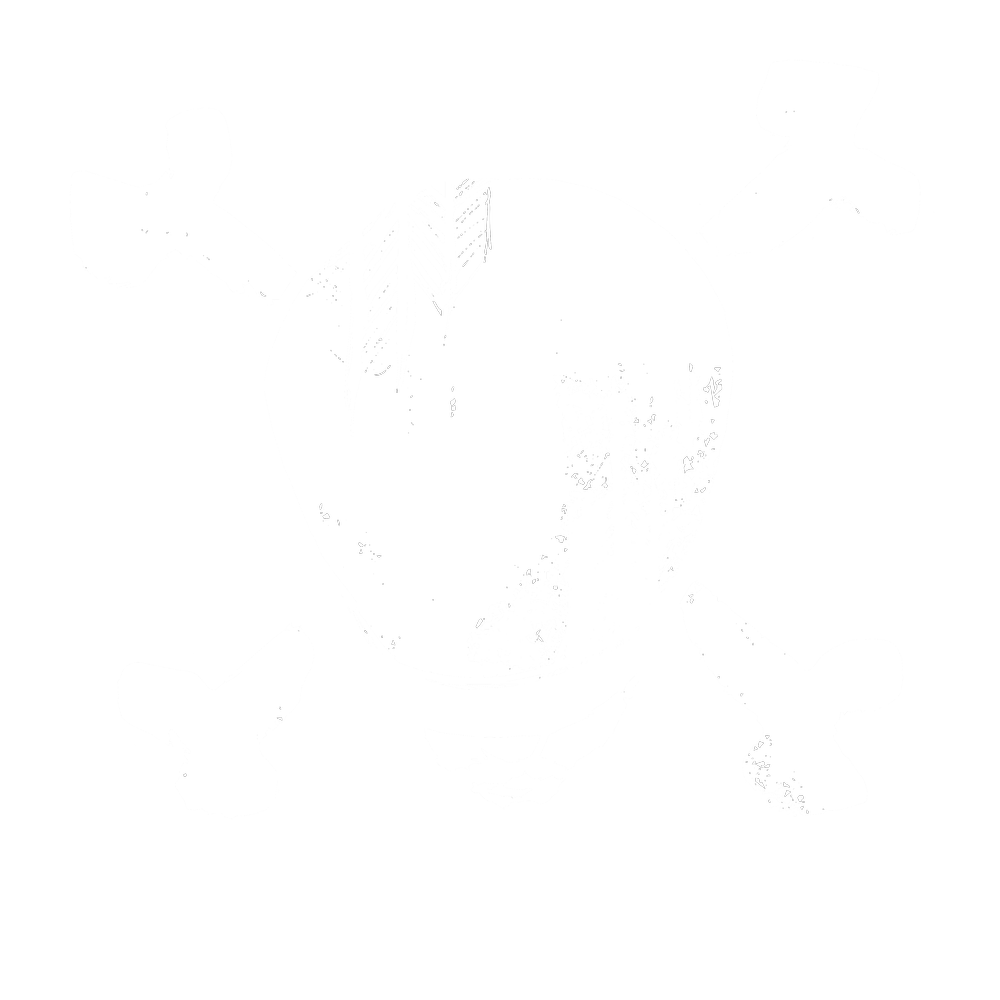sail-north-official-website