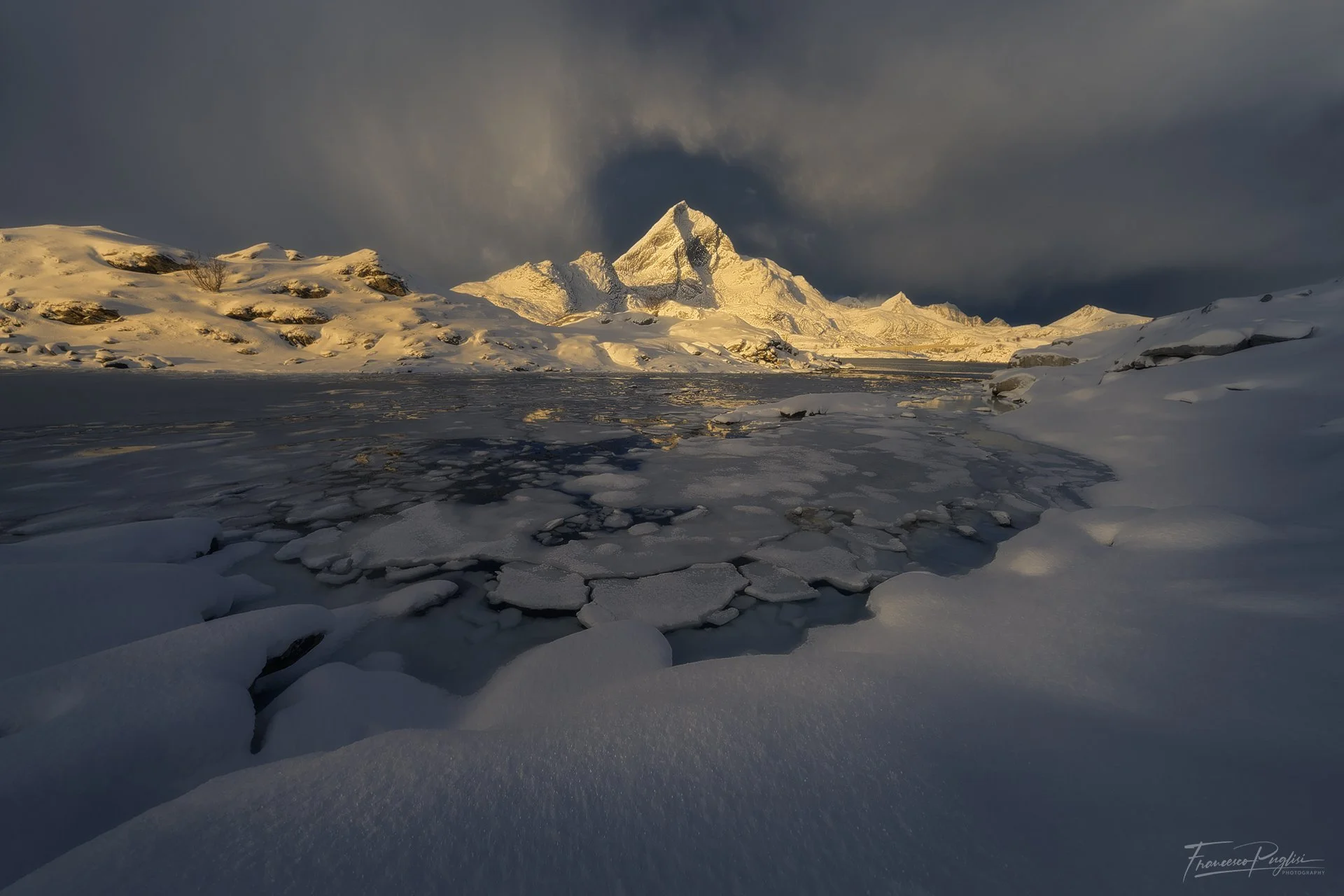 3_Baia_Lofoten2026_LR_S.jpg