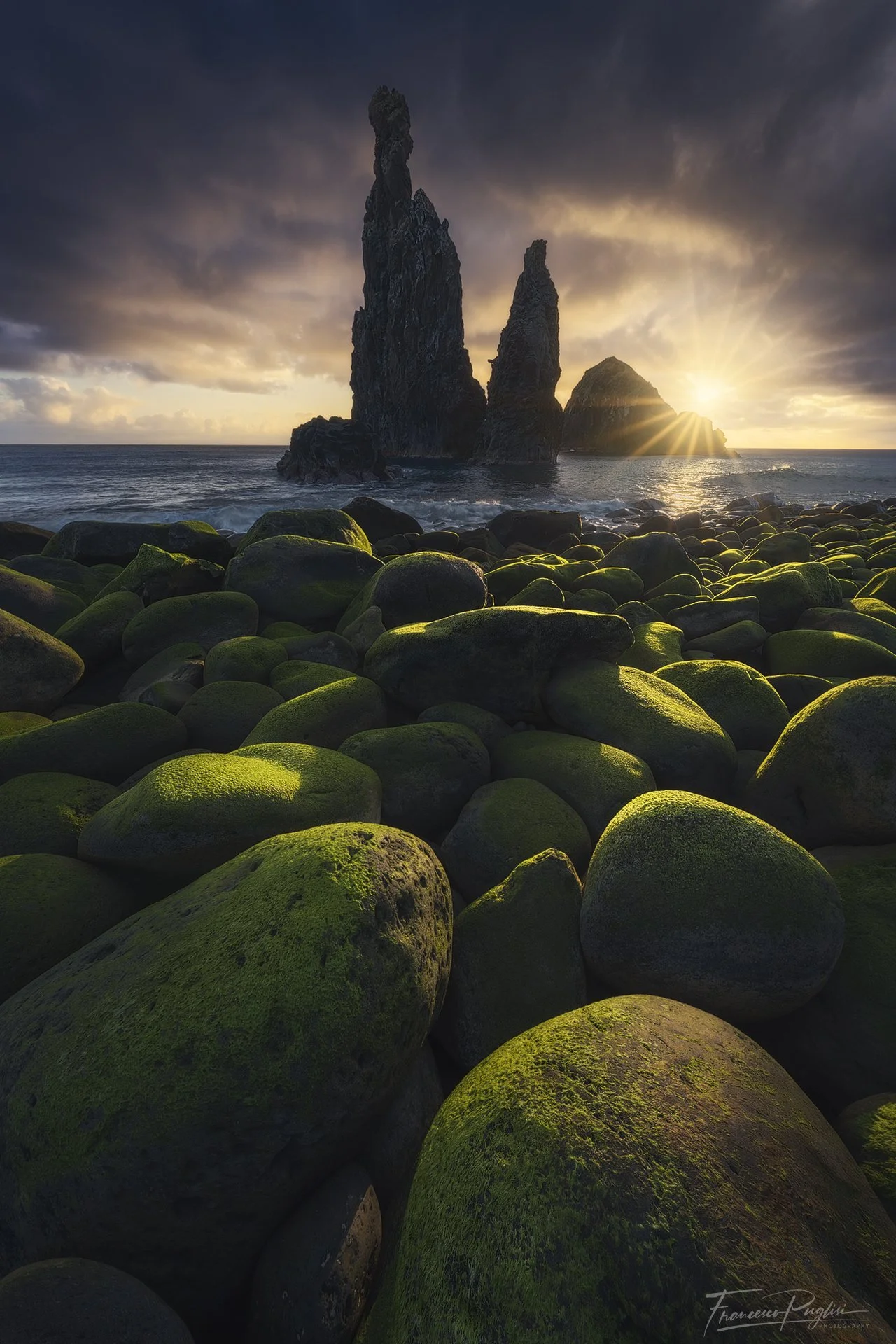 Web_Progetto Francesco_da correttiva.jpg