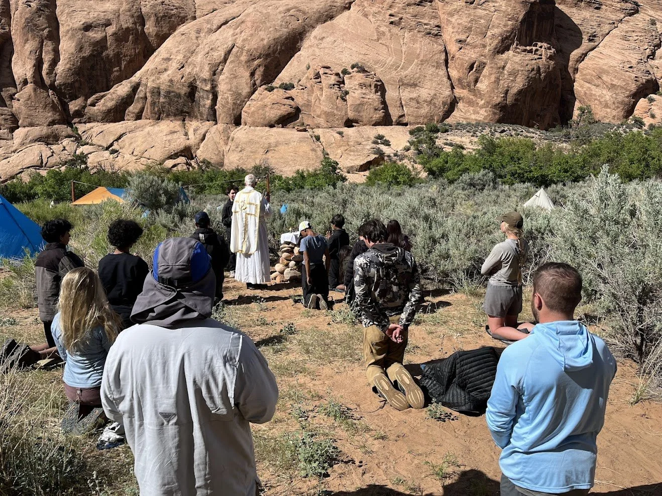 Camel Spirit in the Desert