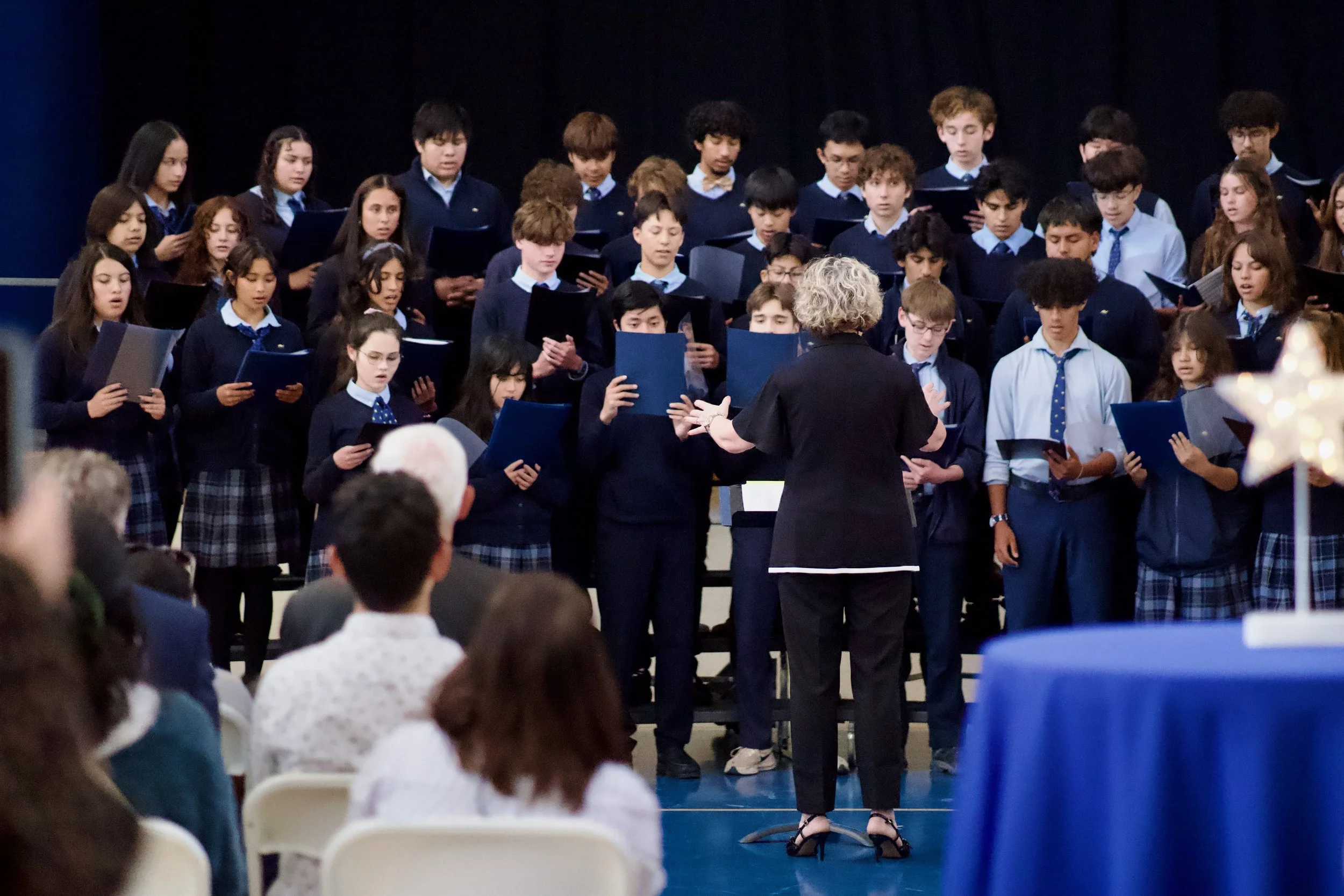 Fine Arts Showcase